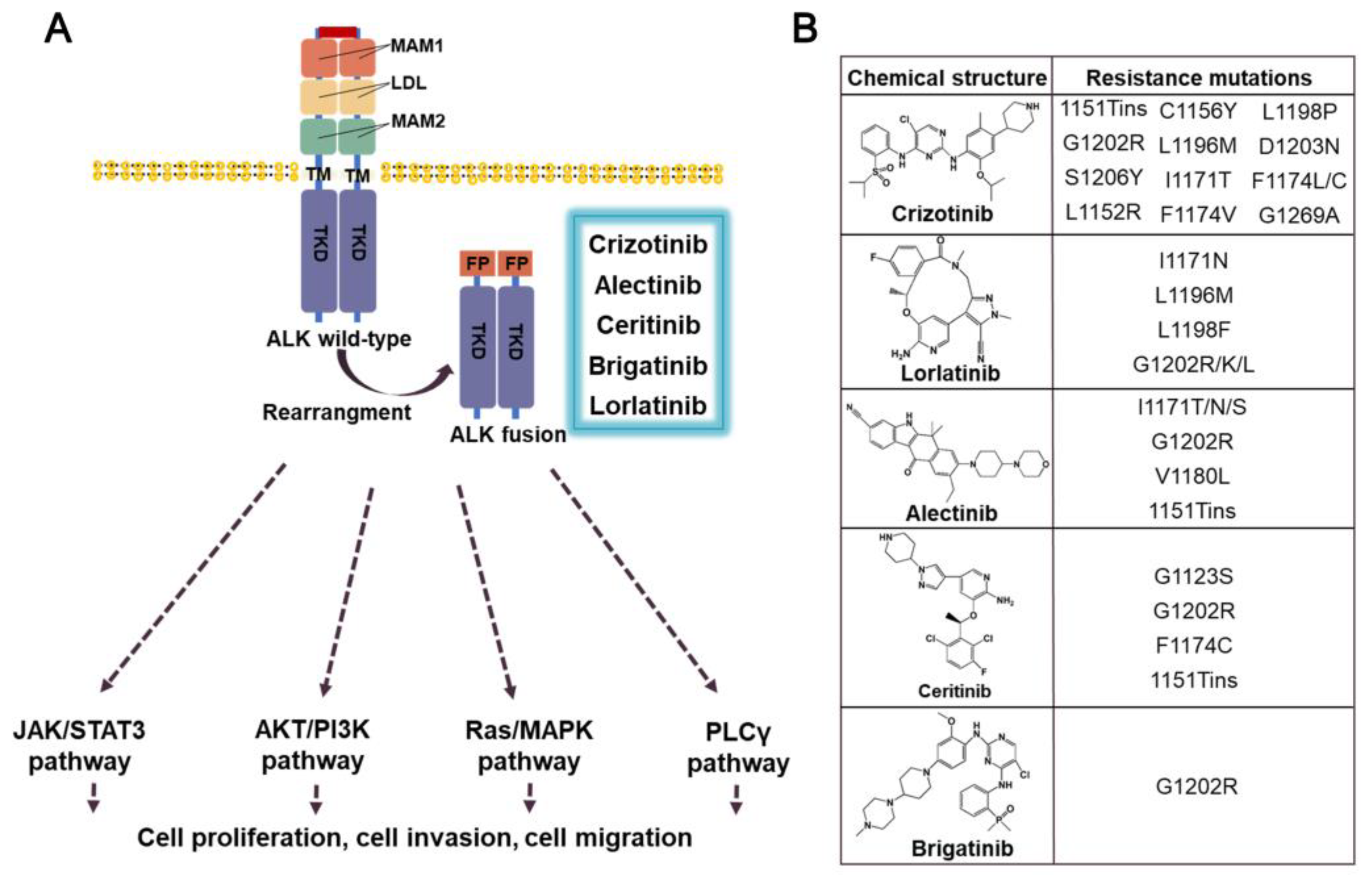 Preprints 73530 g005