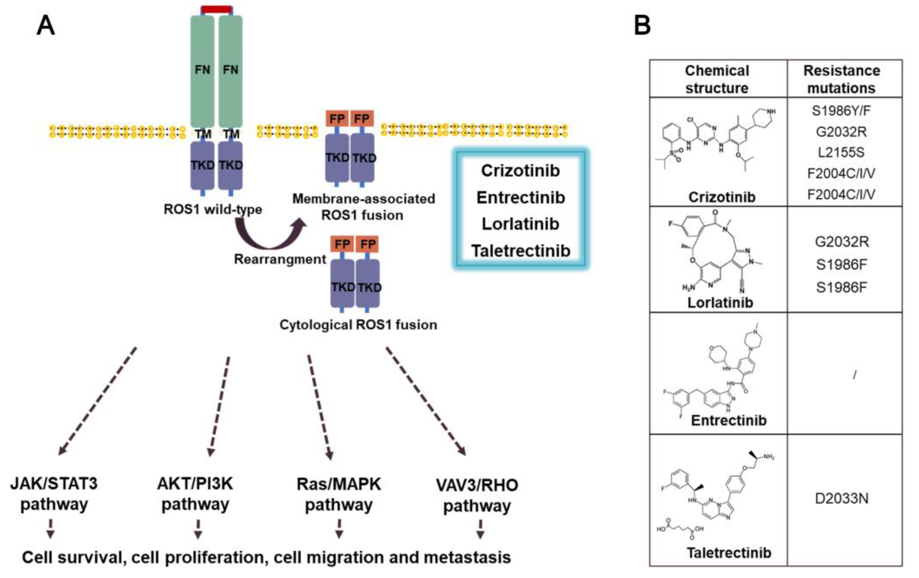 Preprints 73530 g007