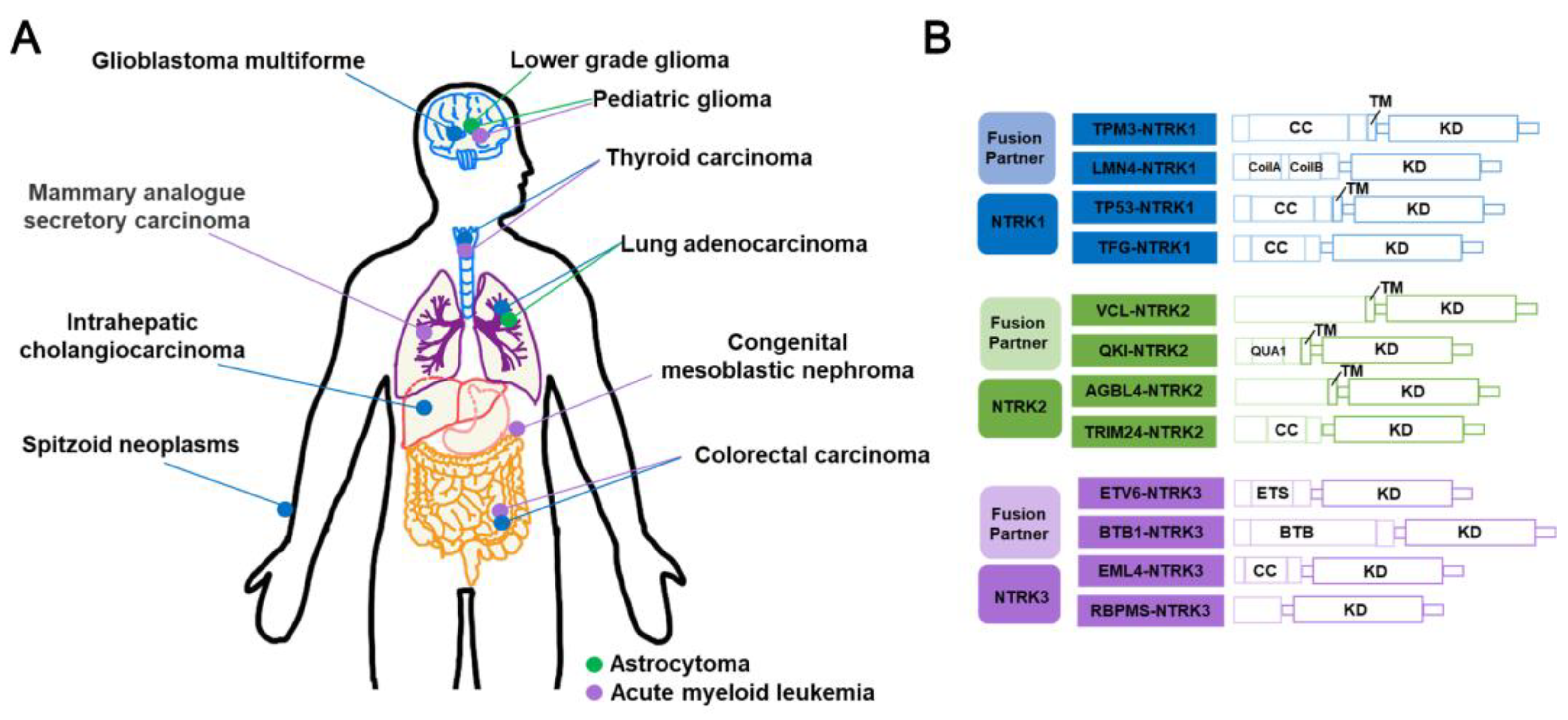 Preprints 73530 g008