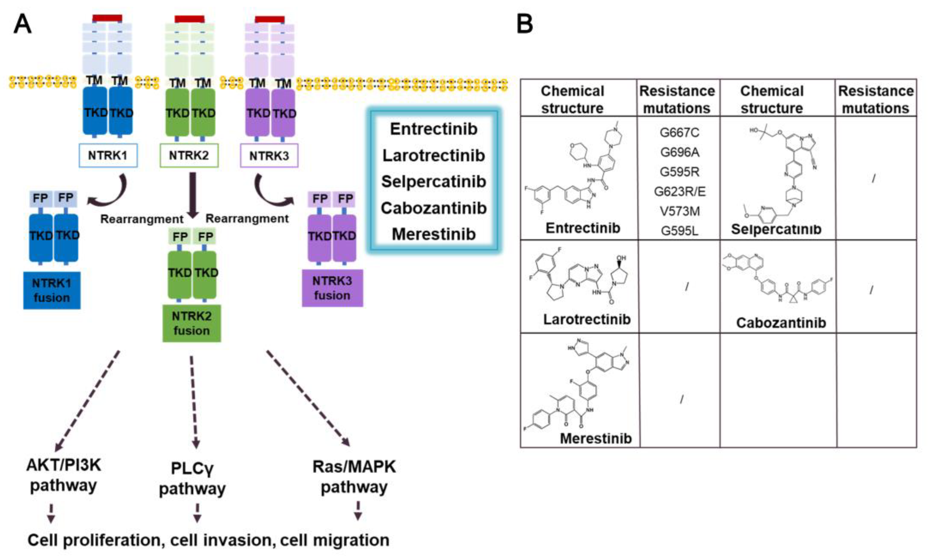 Preprints 73530 g009