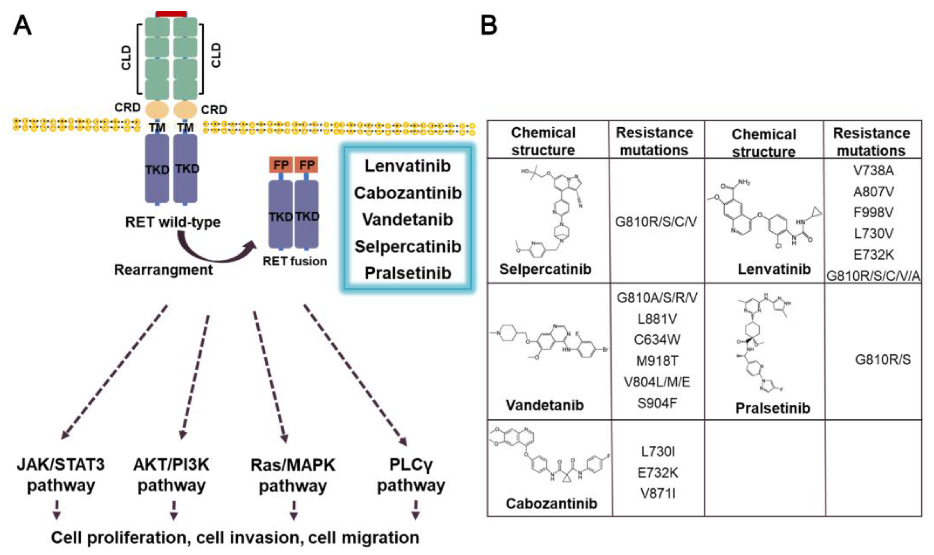 Preprints 73530 g011