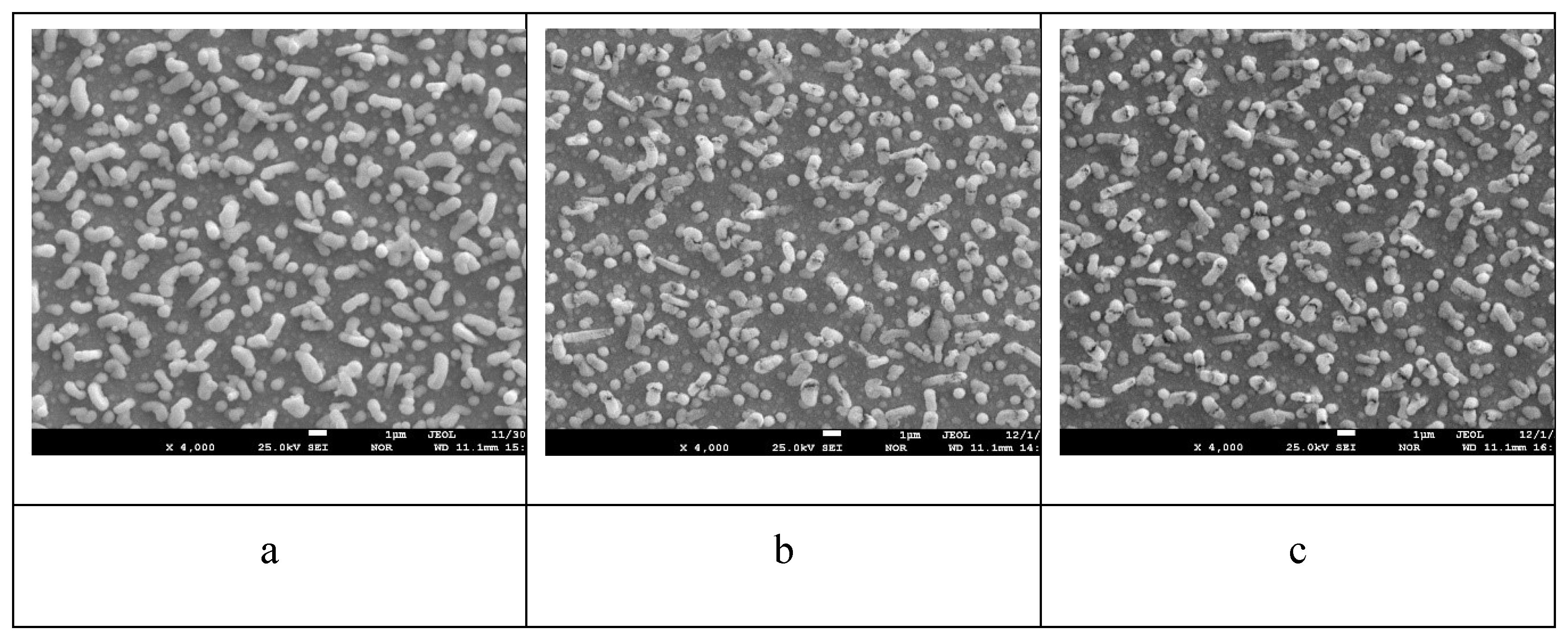 Preprints 121870 g007