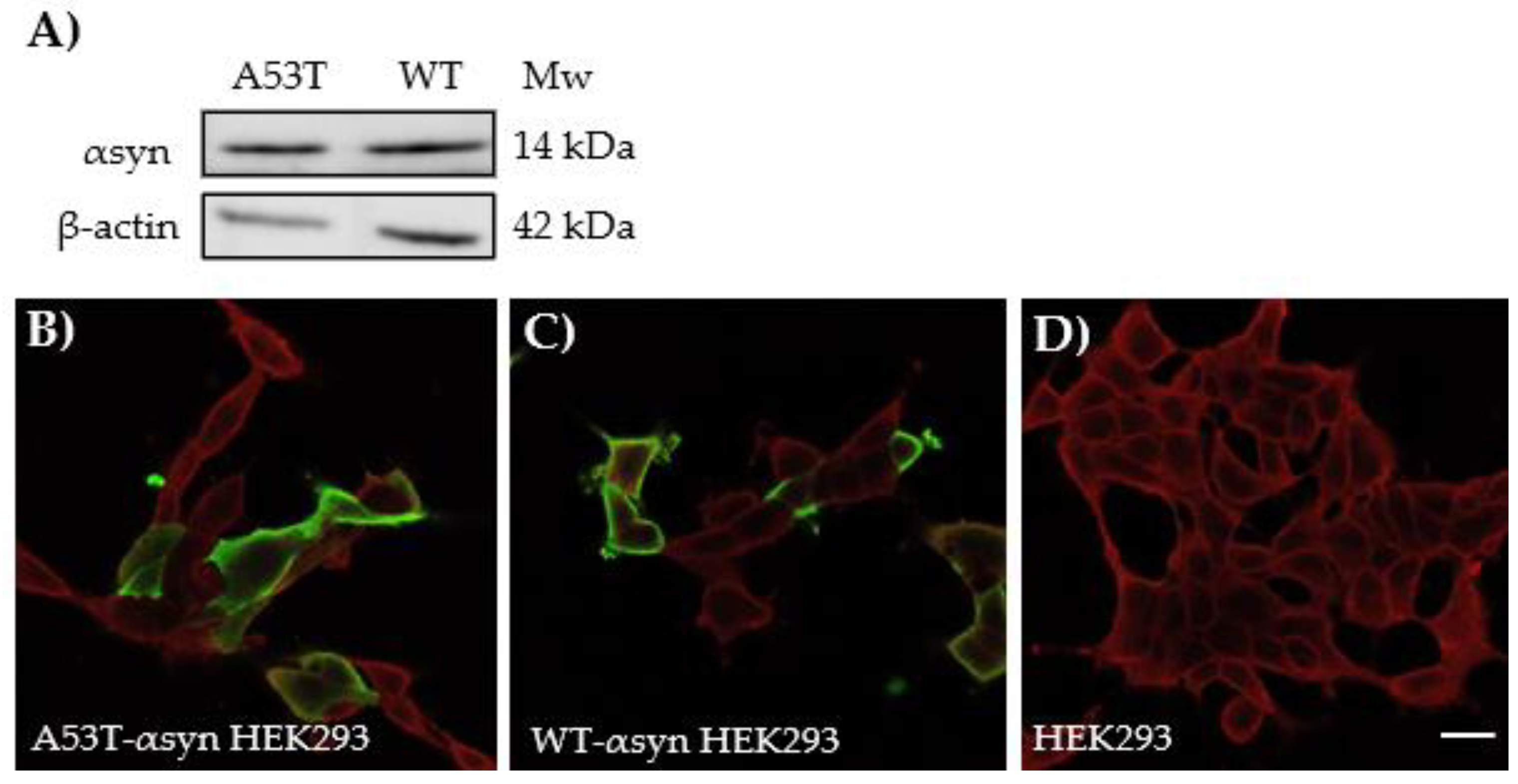 Preprints 137587 g004