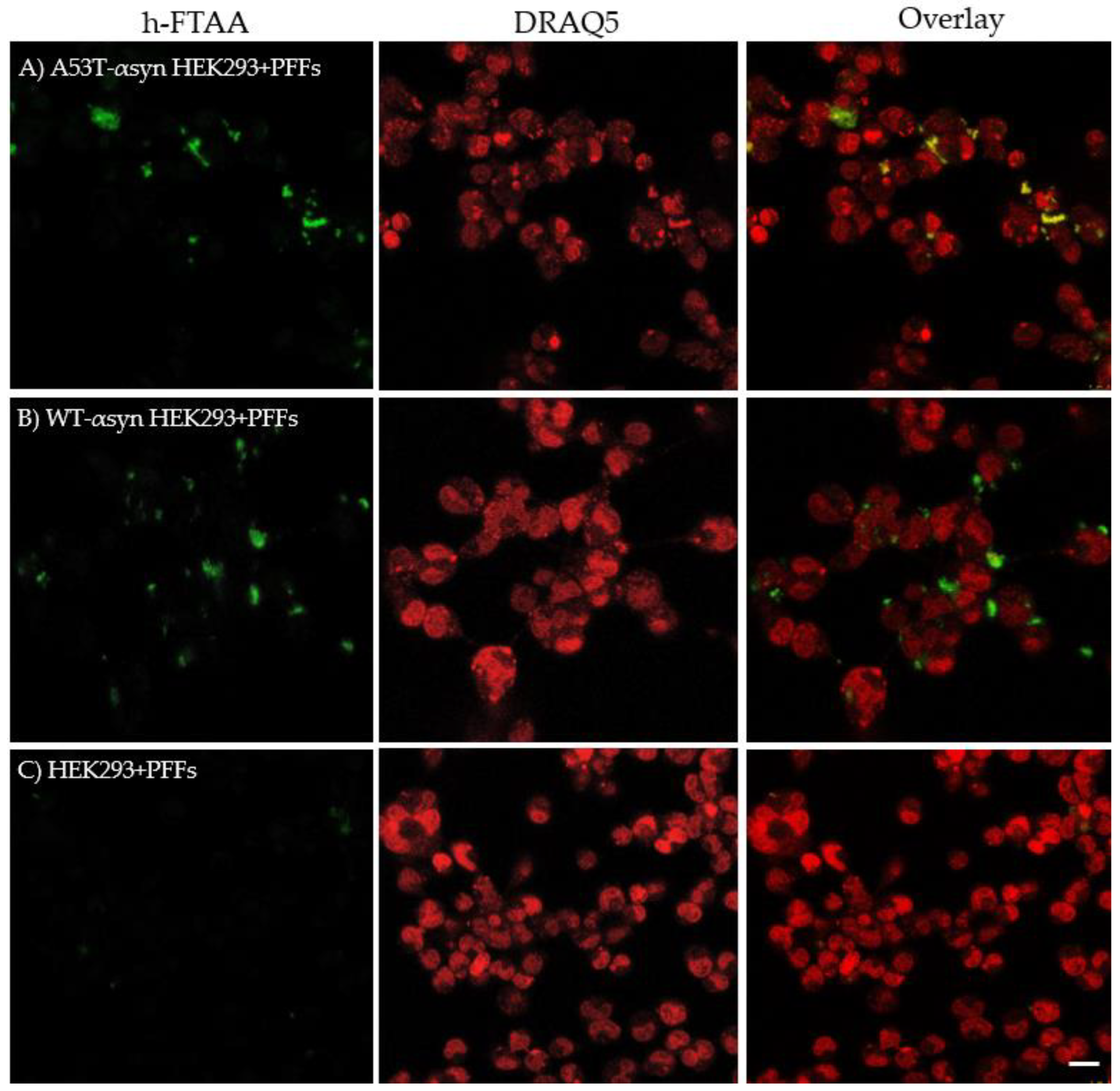 Preprints 137587 g005