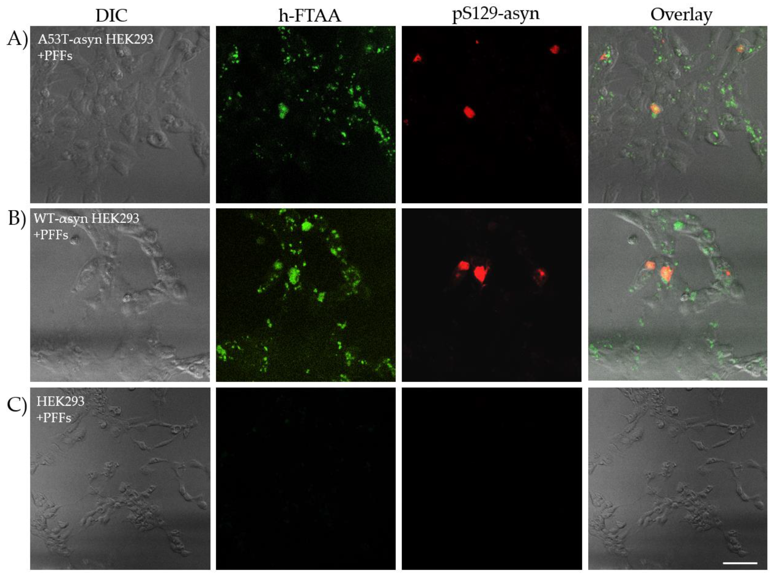 Preprints 137587 g007