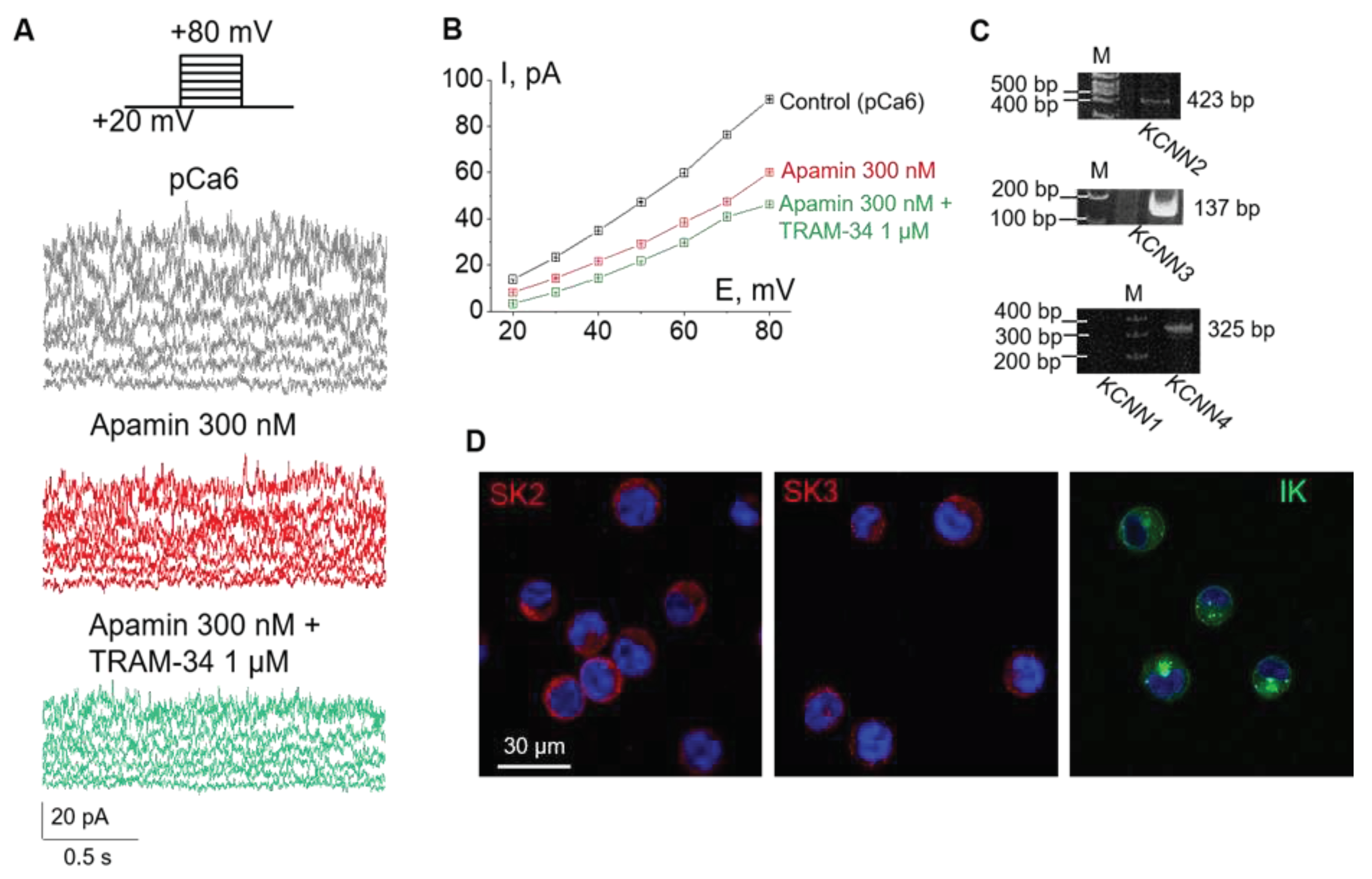 Preprints 68156 g001