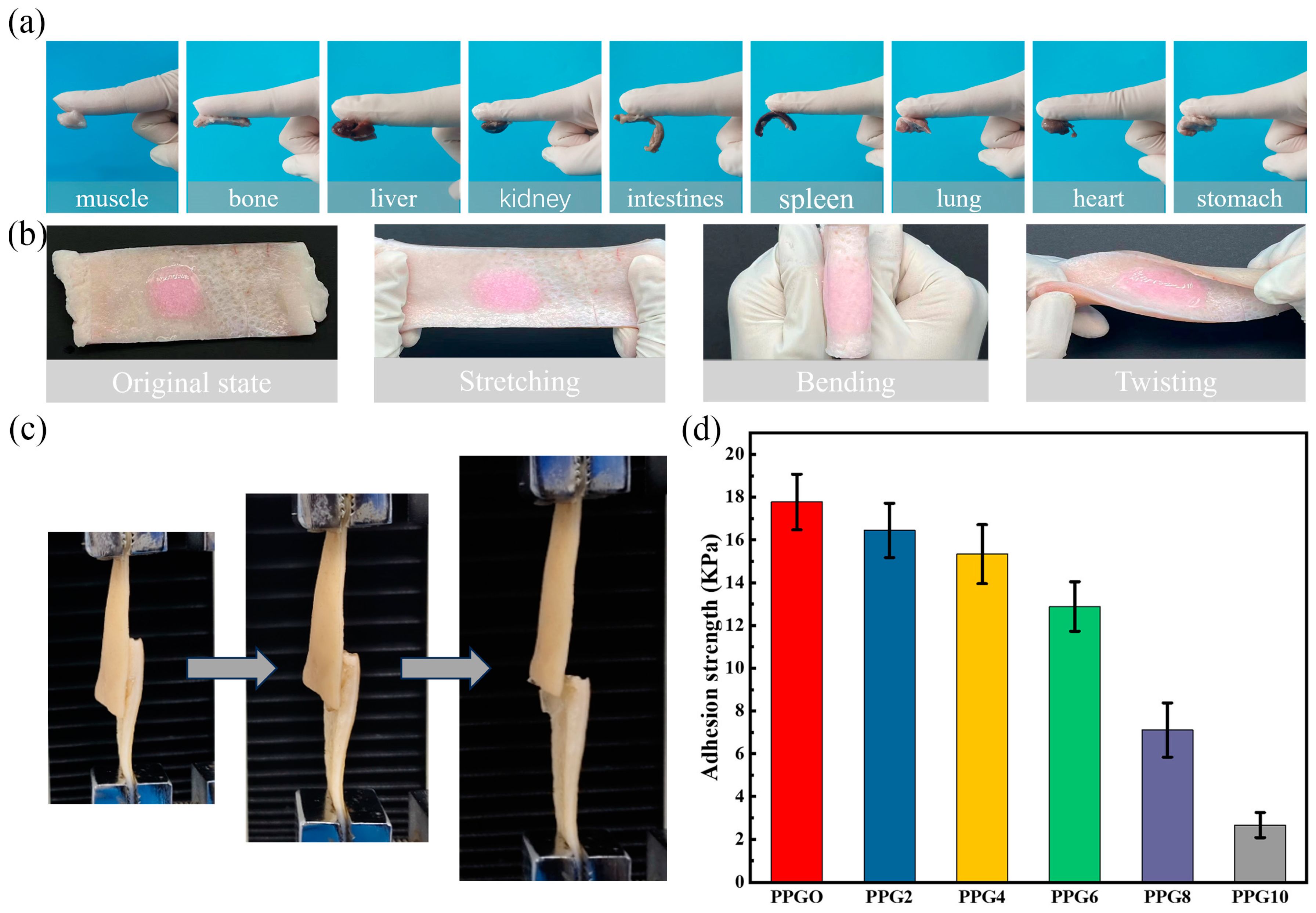 Preprints 139622 g008