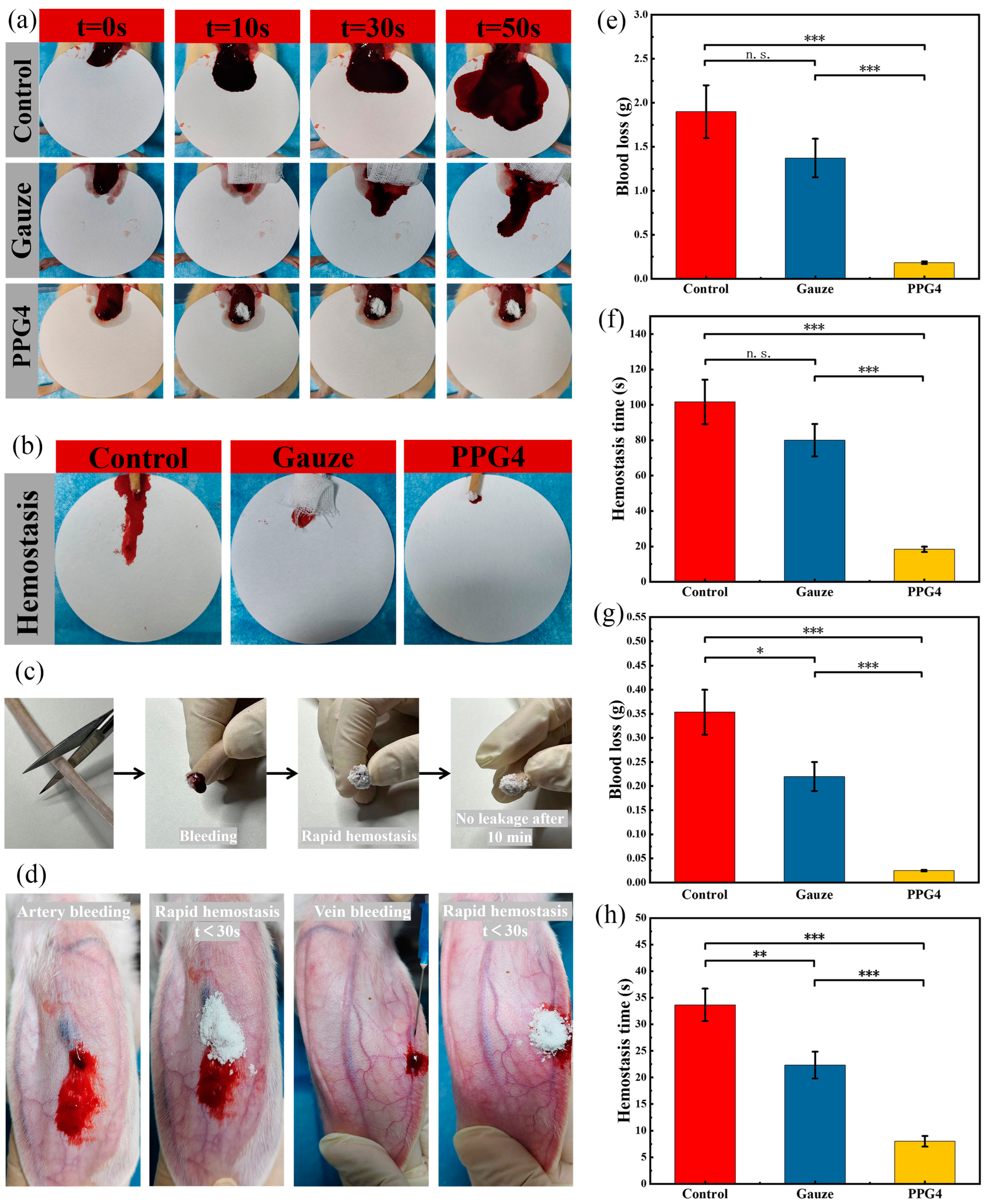 Preprints 139622 g010