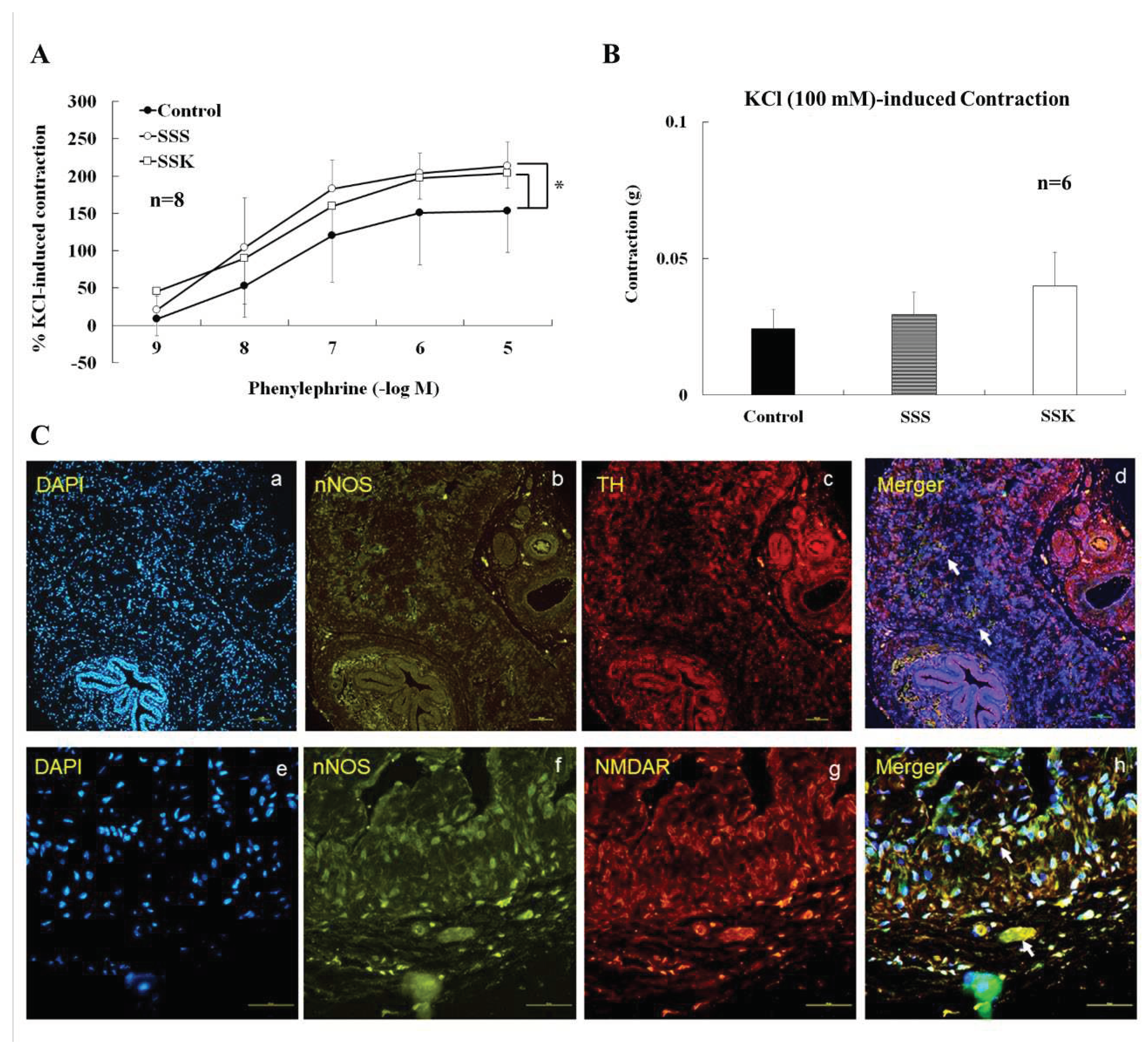 Preprints 75625 g005