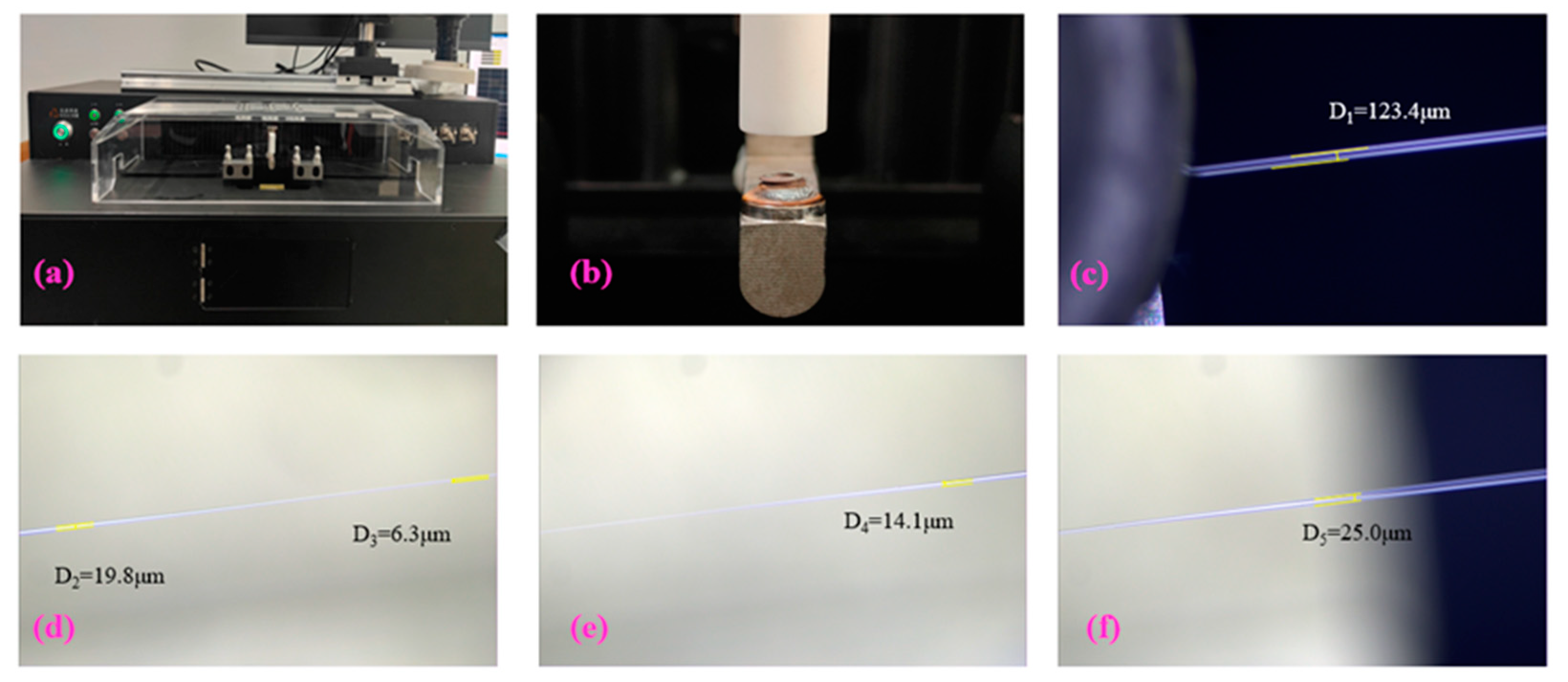 Preprints 82454 g004