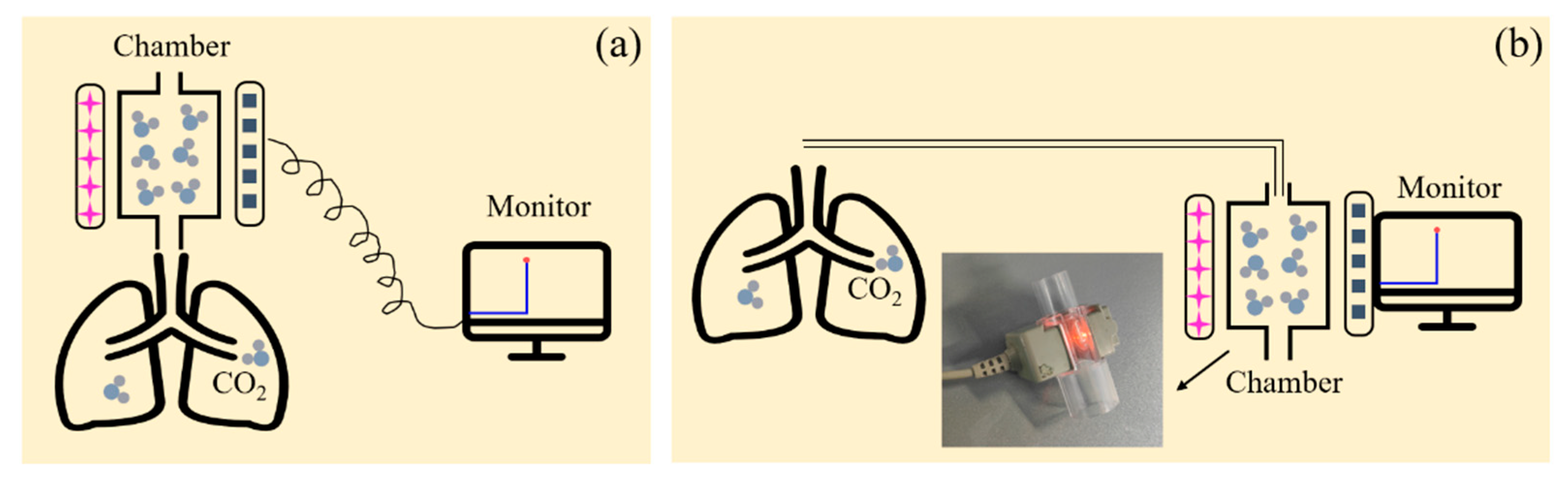 Preprints 82454 g006