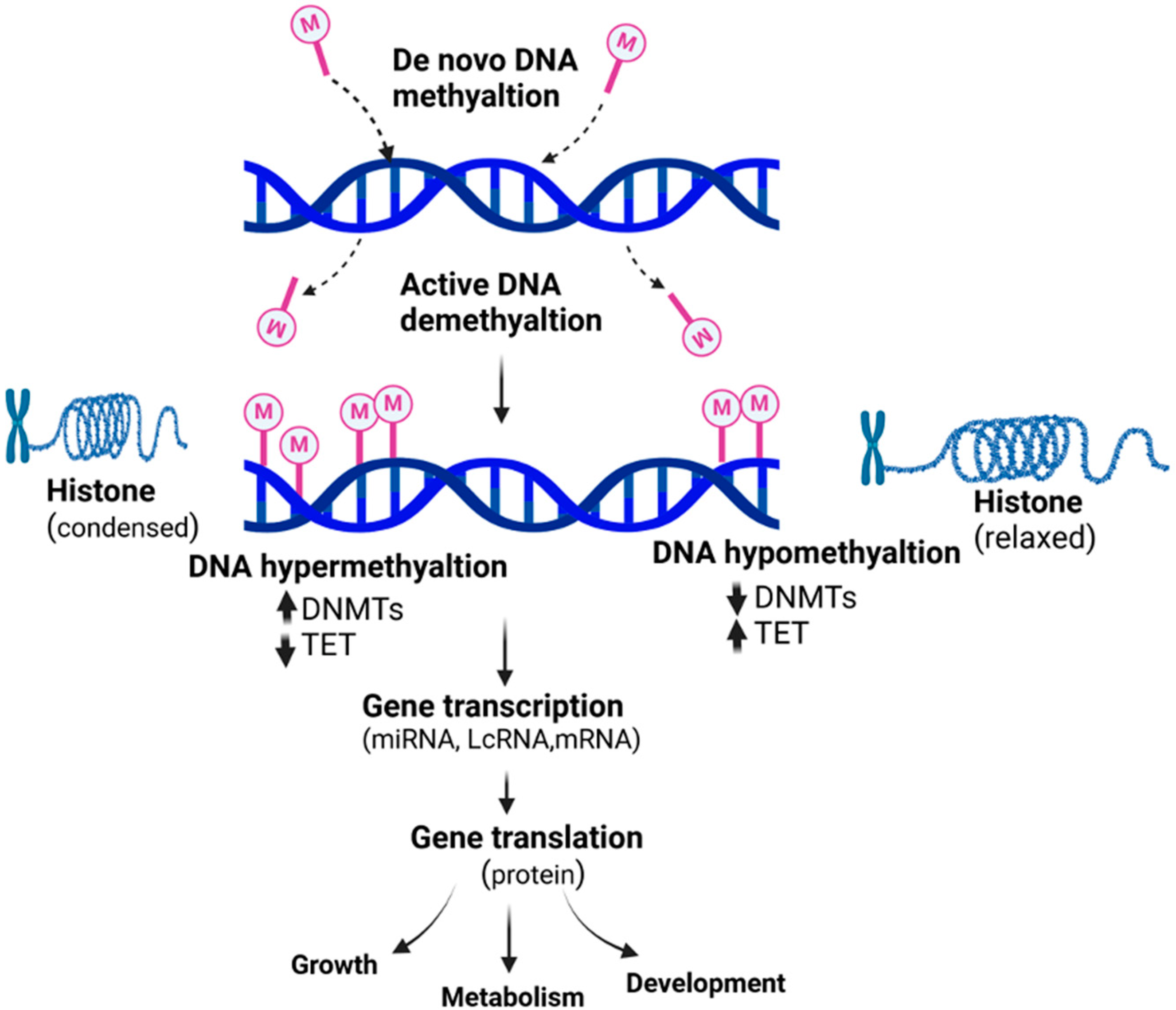 Preprints 105530 g001