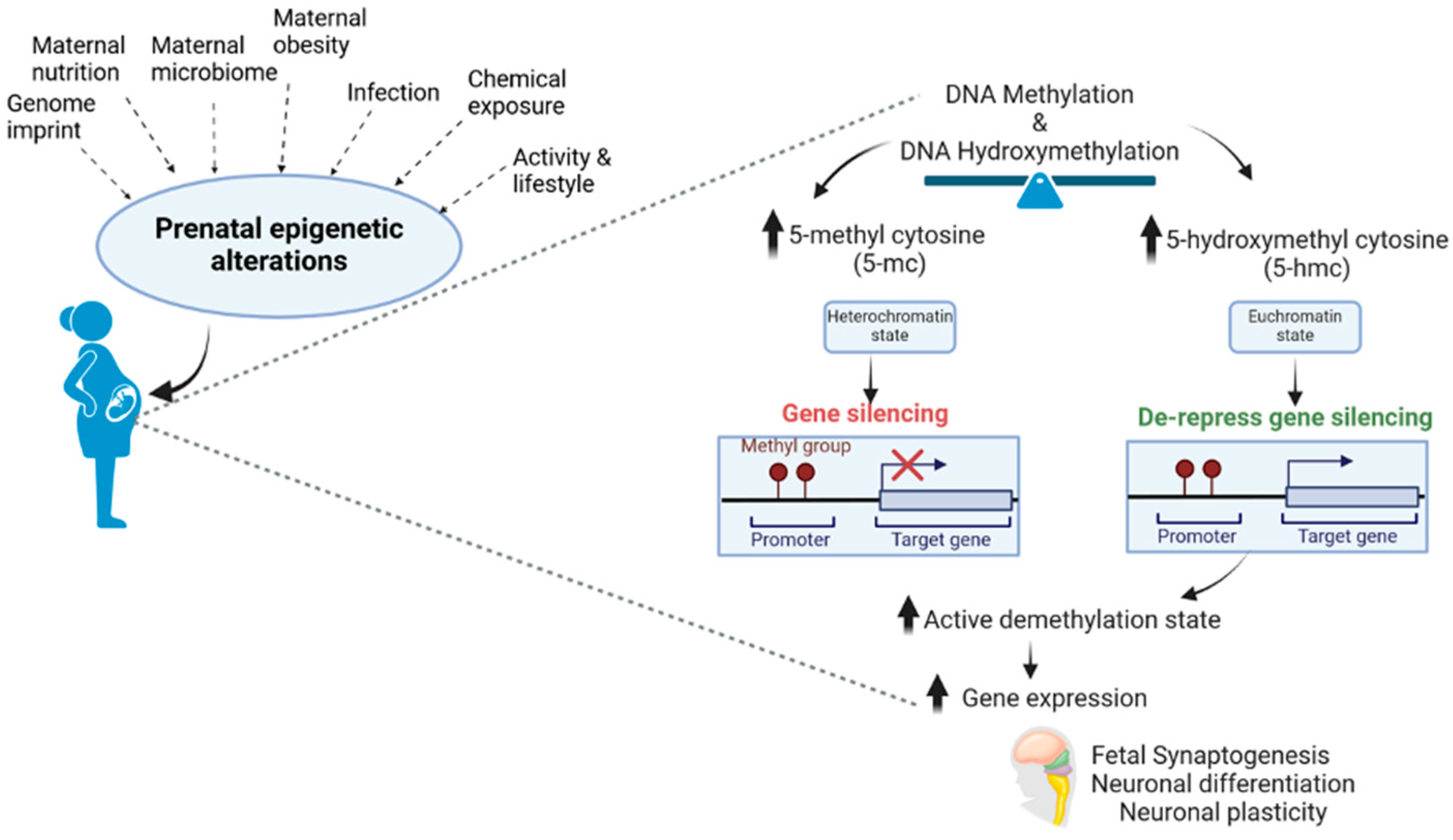 Preprints 105530 g002