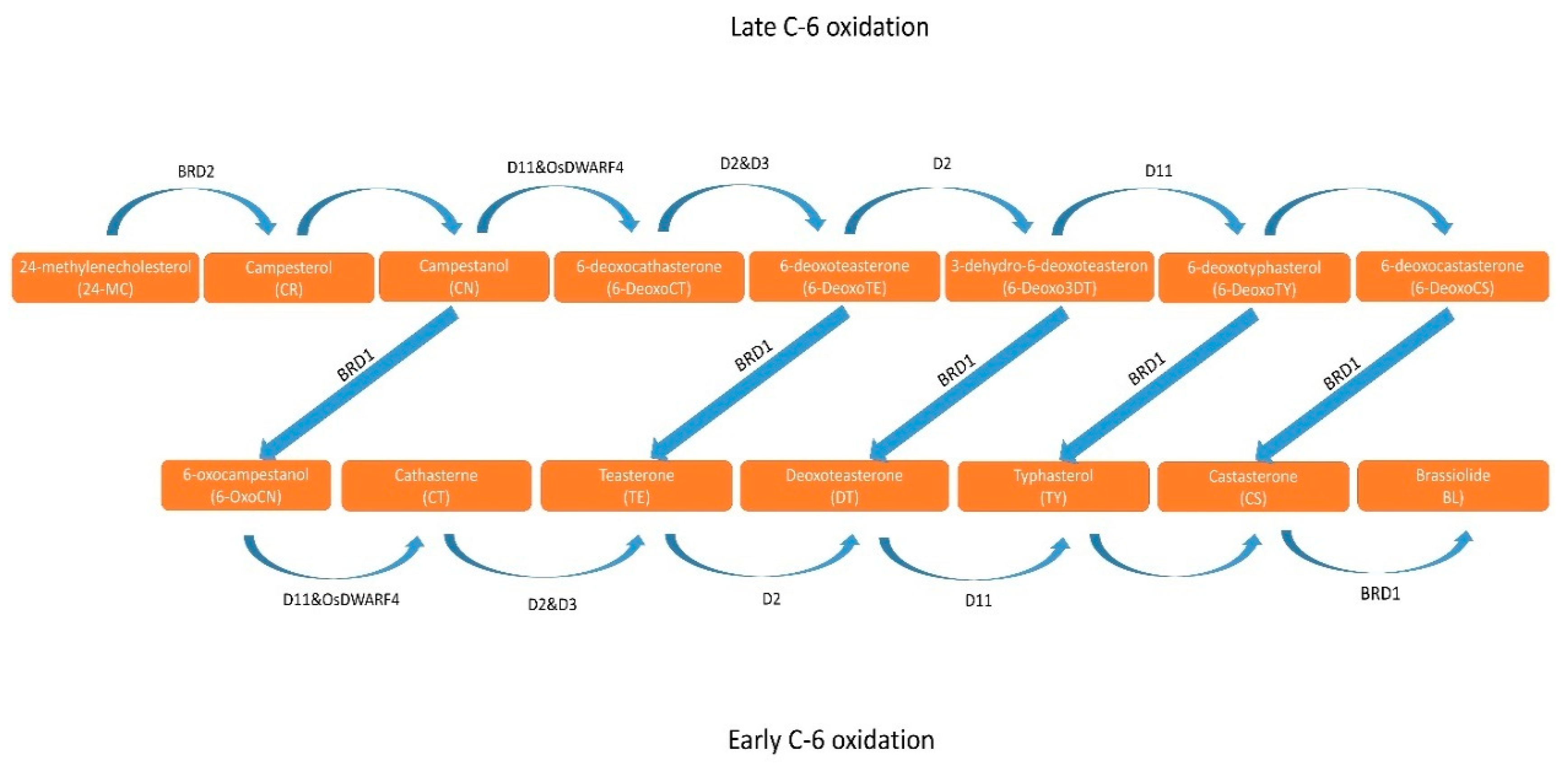 Preprints 99411 g001