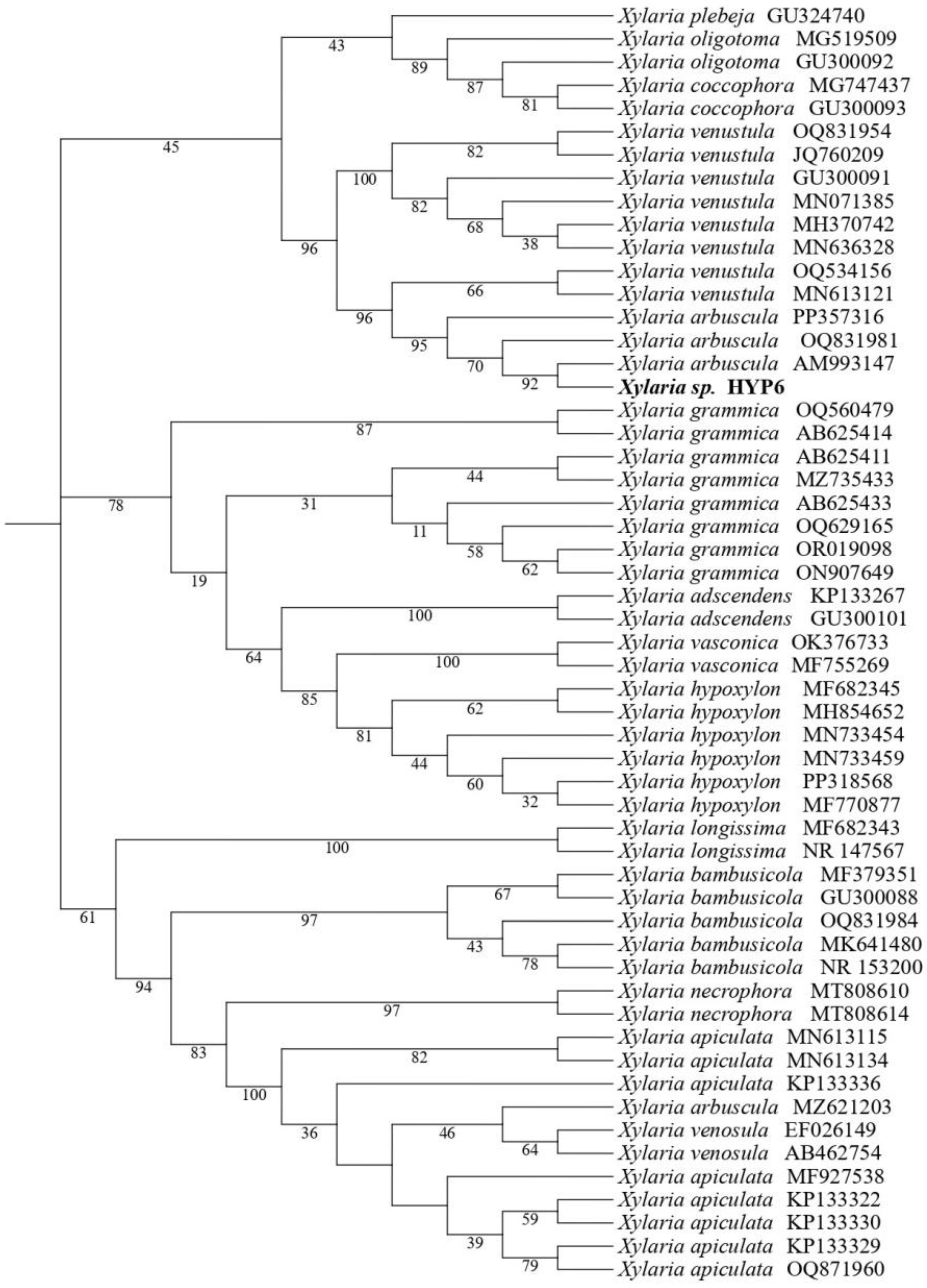 Preprints 138199 g001