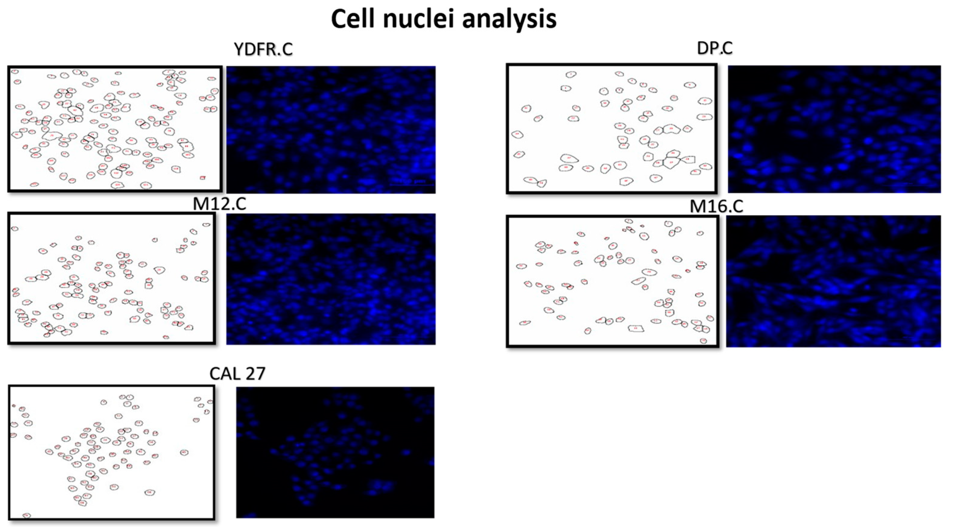 Preprints 137577 g002