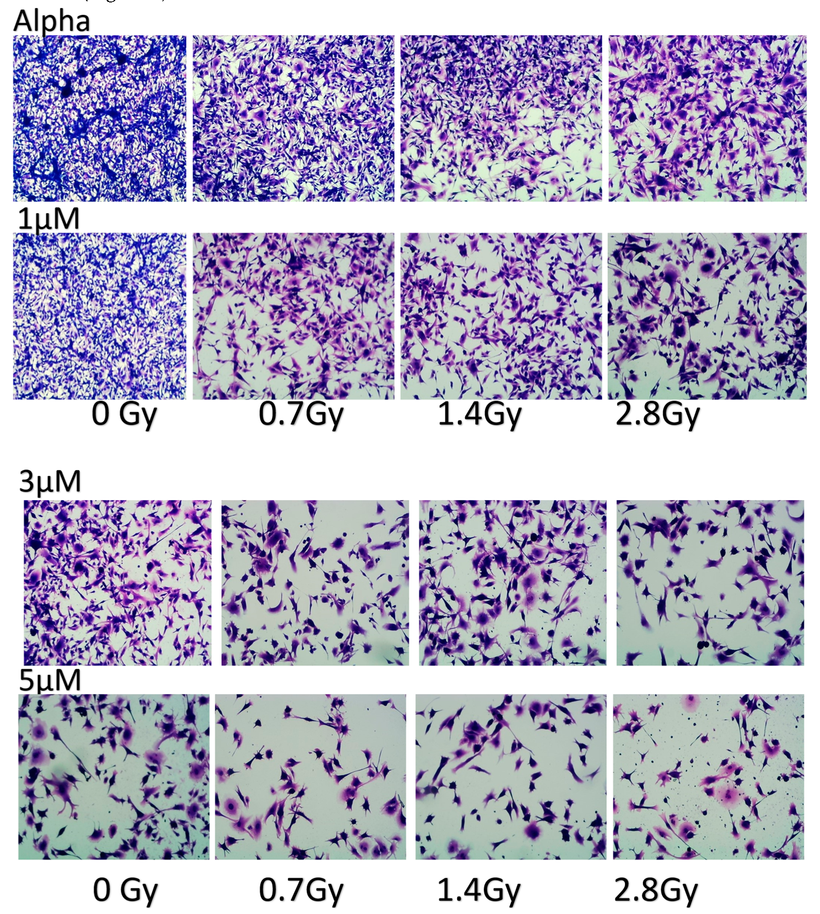 Preprints 137577 g007