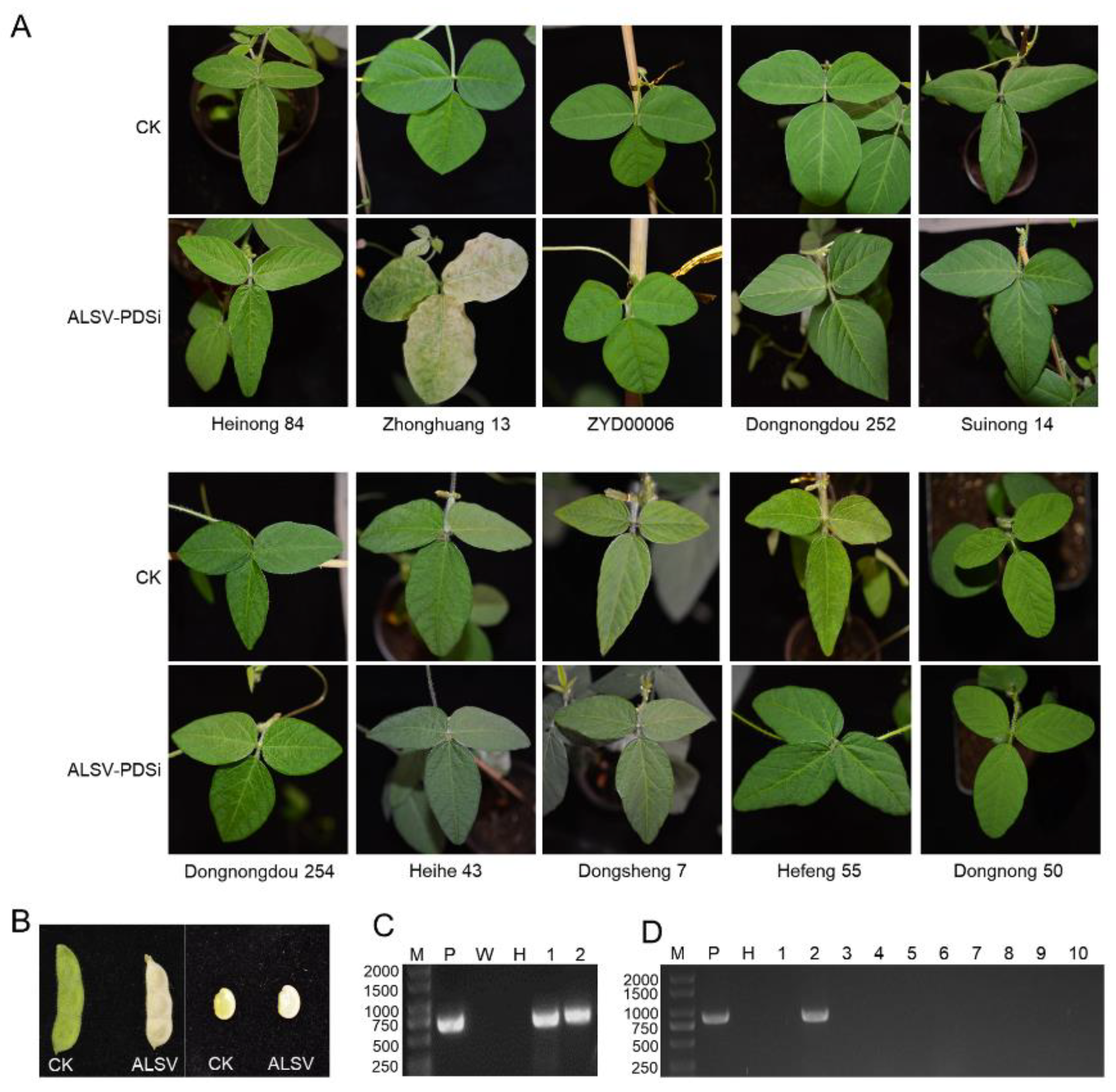 Preprints 95637 g001