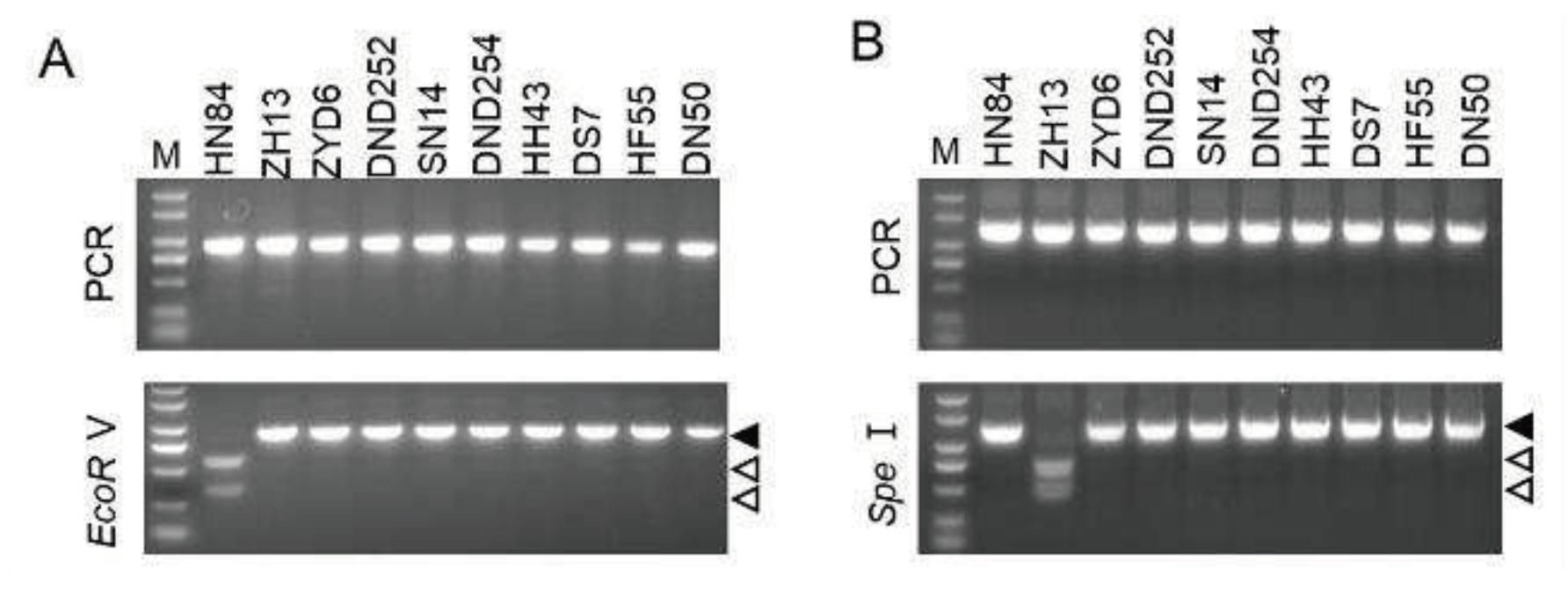 Preprints 95637 g004