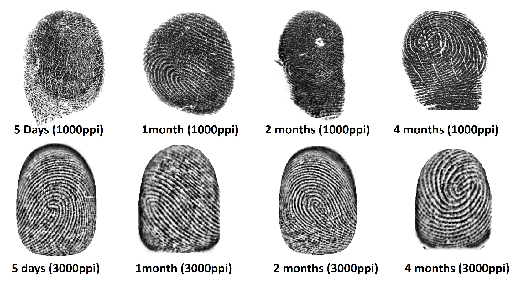 Preprints 105864 g001