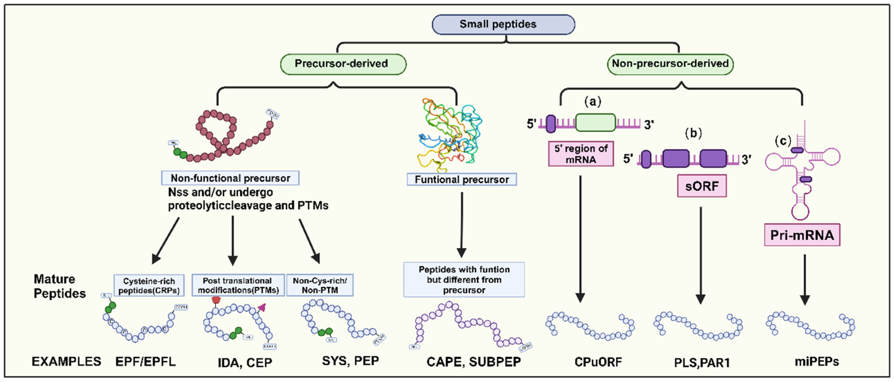 Preprints 108302 g001