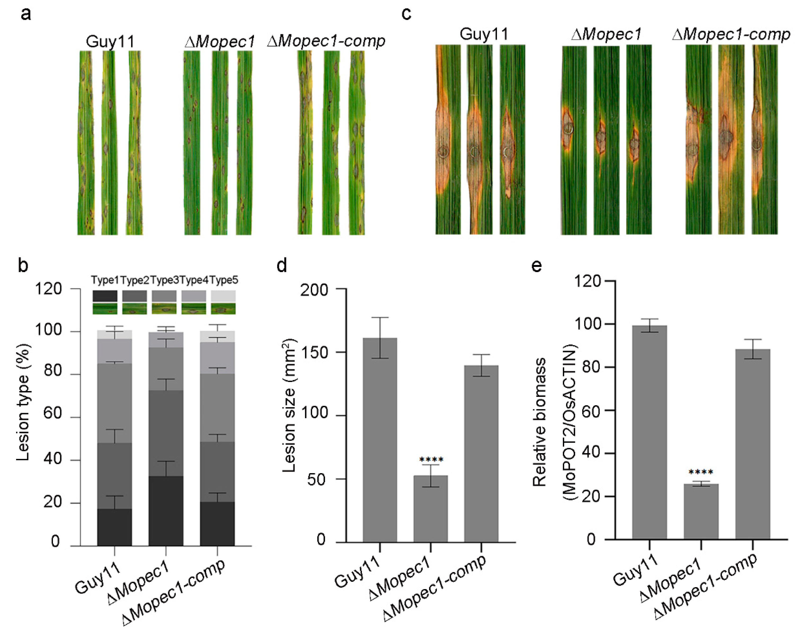 Preprints 89704 g001