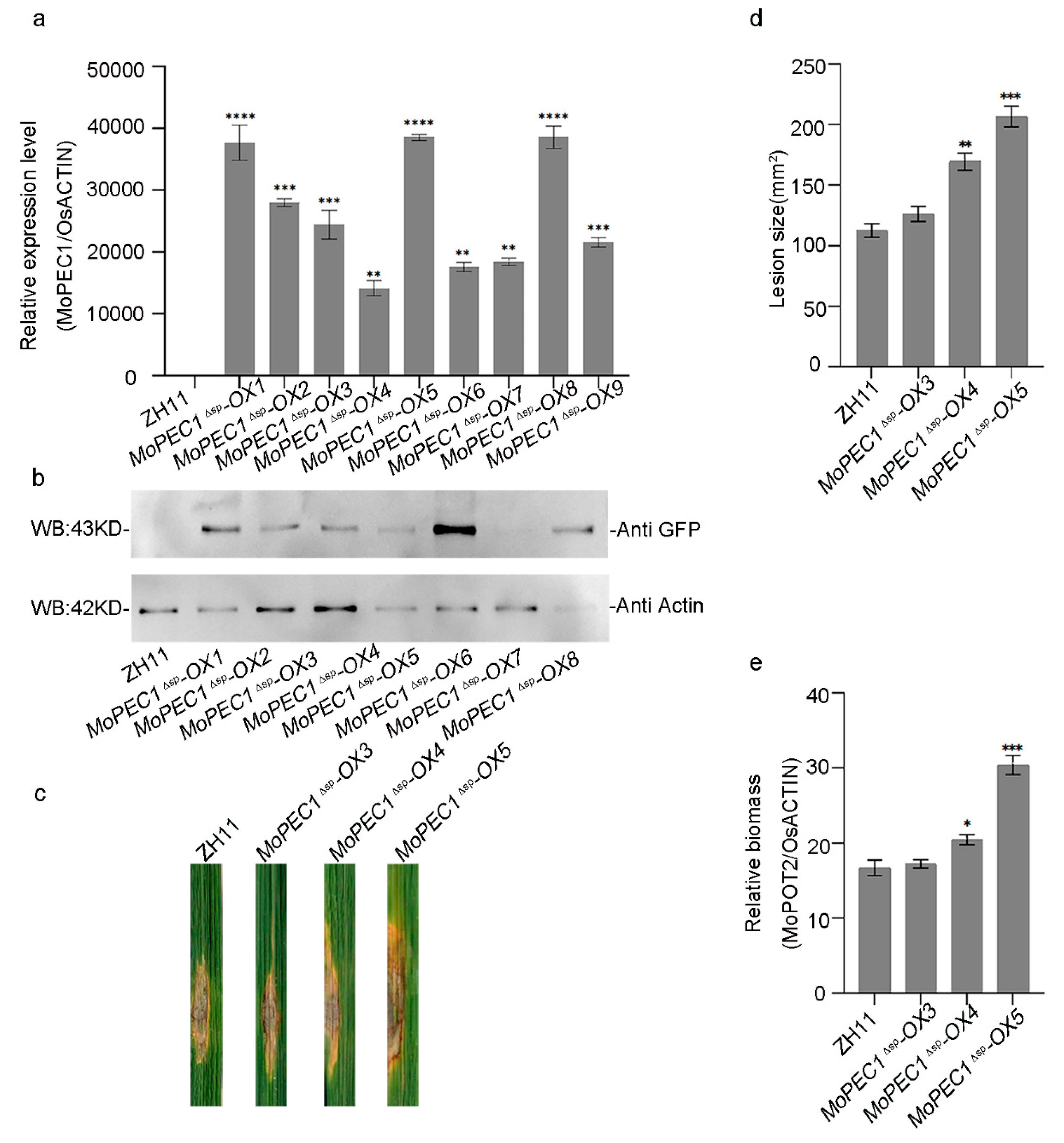 Preprints 89704 g003