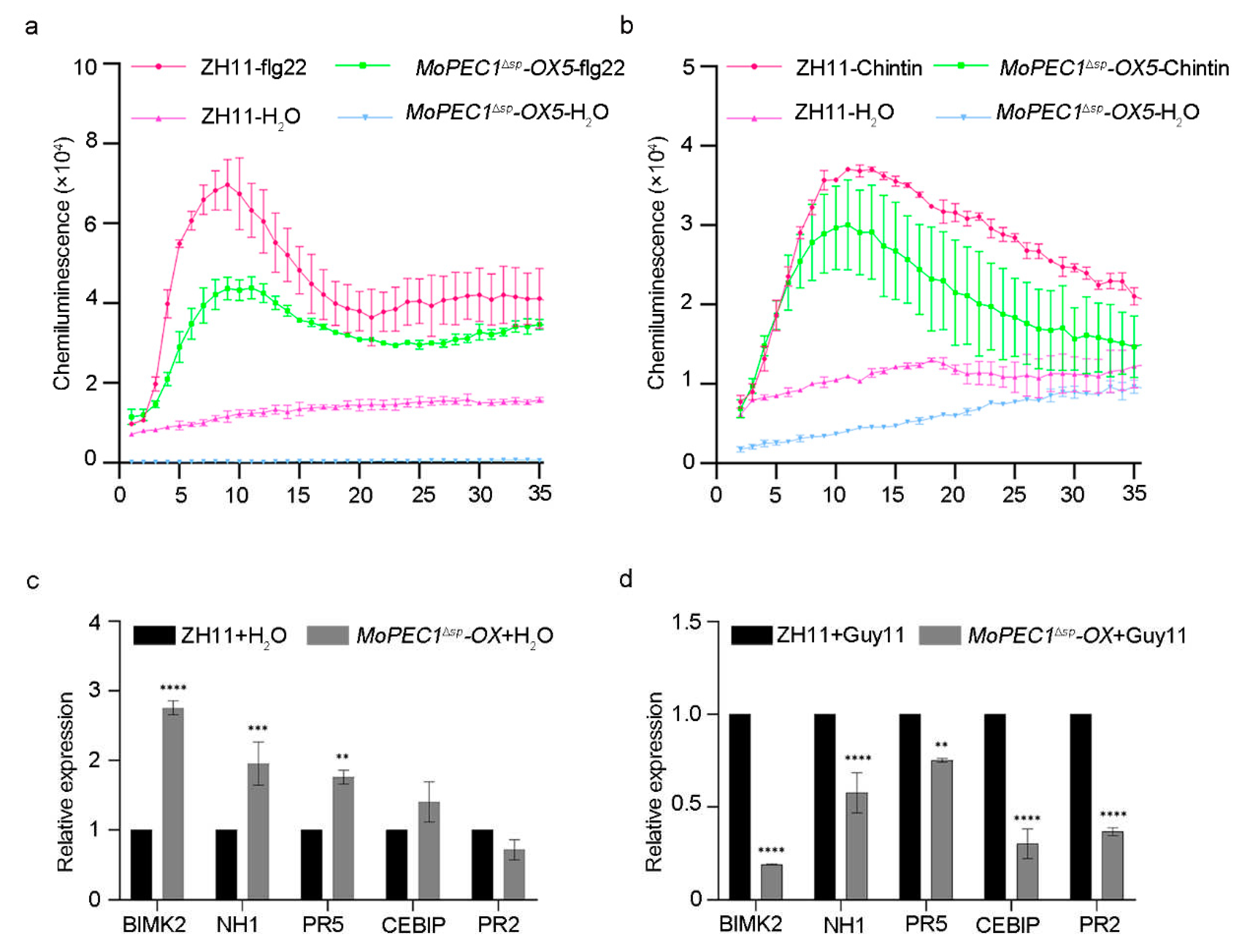 Preprints 89704 g004