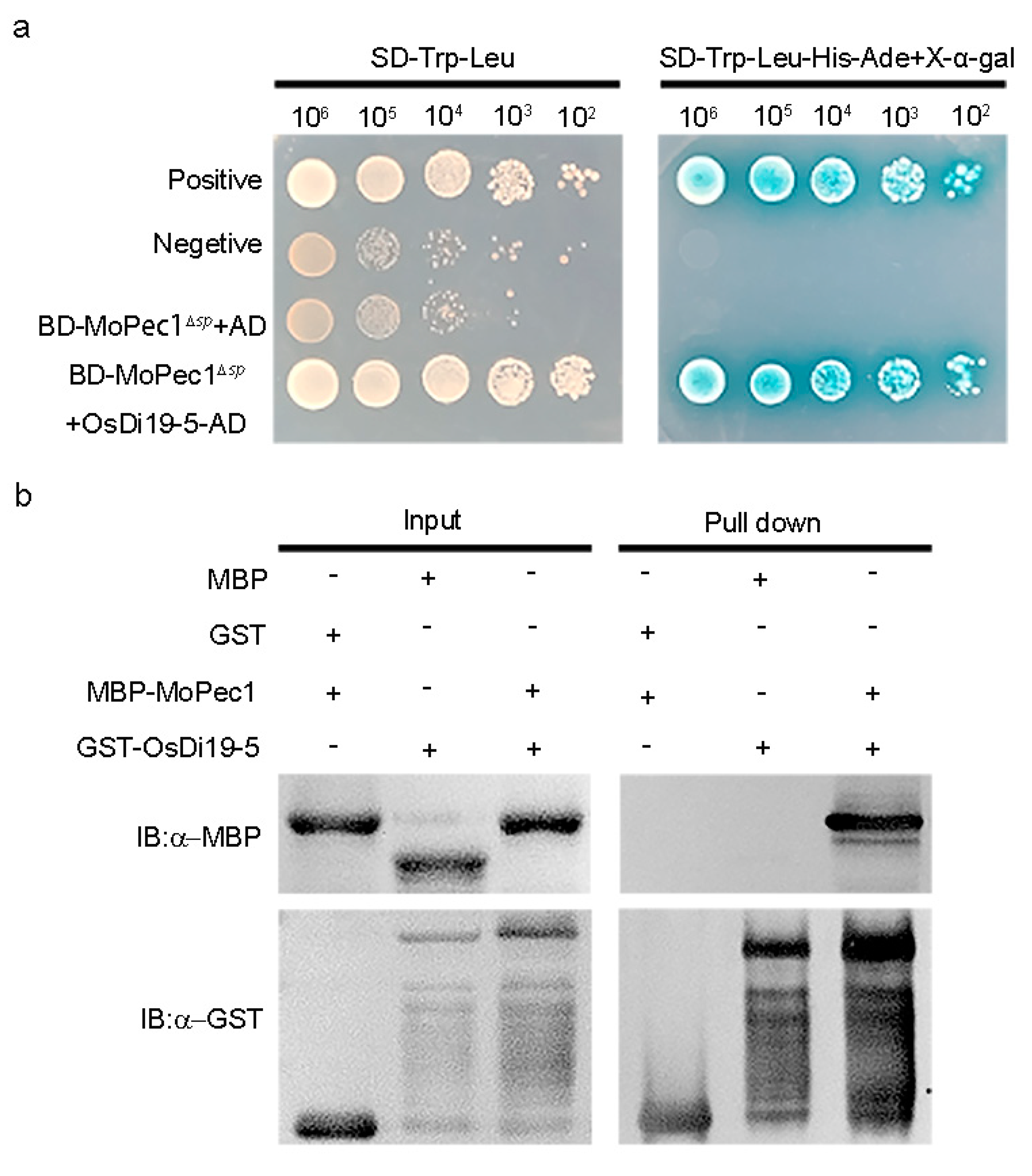 Preprints 89704 g005