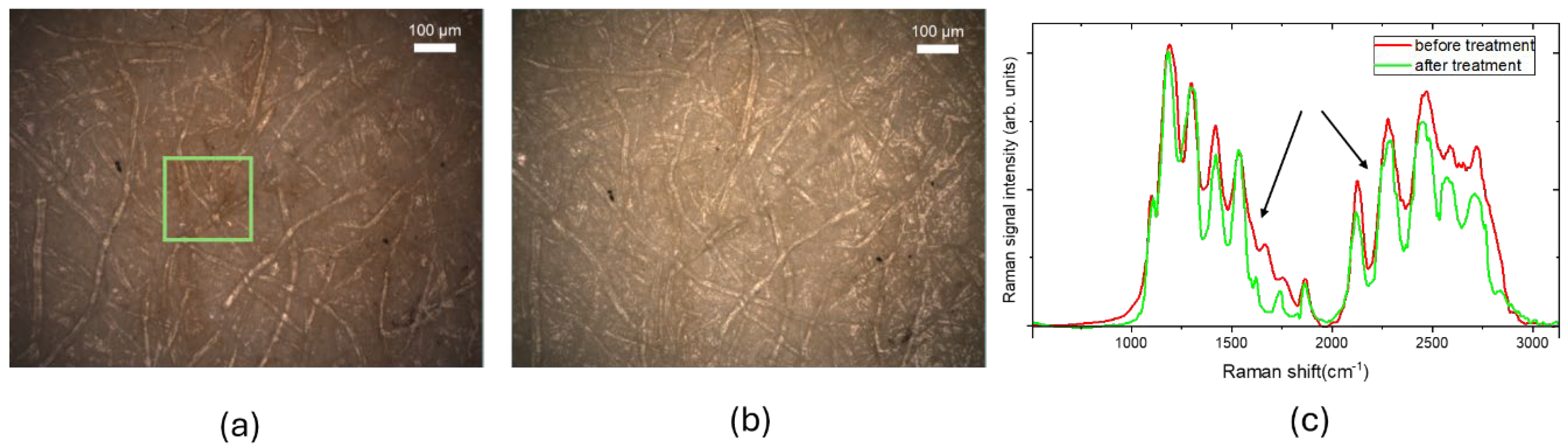 Preprints 141201 g001