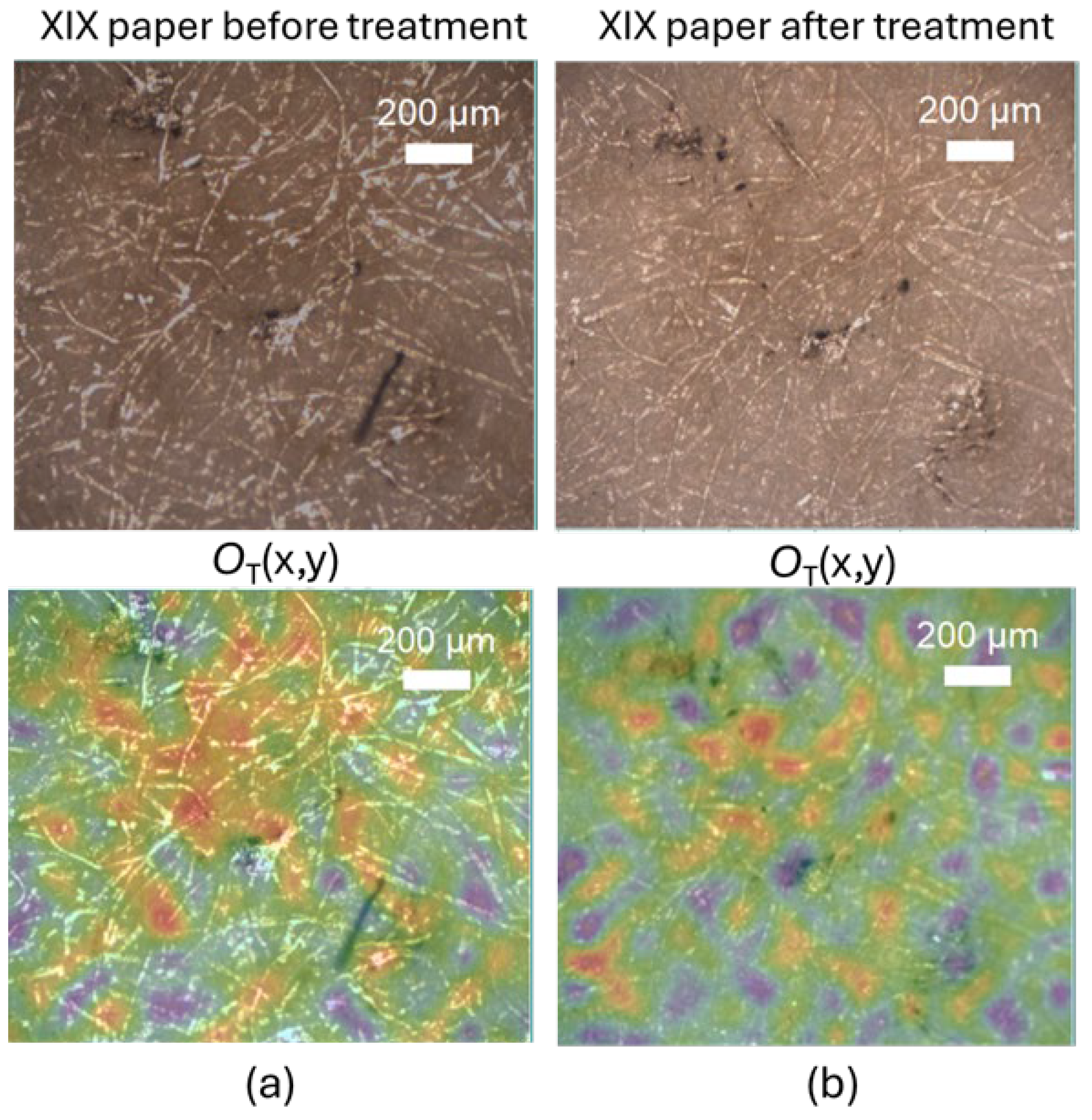 Preprints 141201 g002