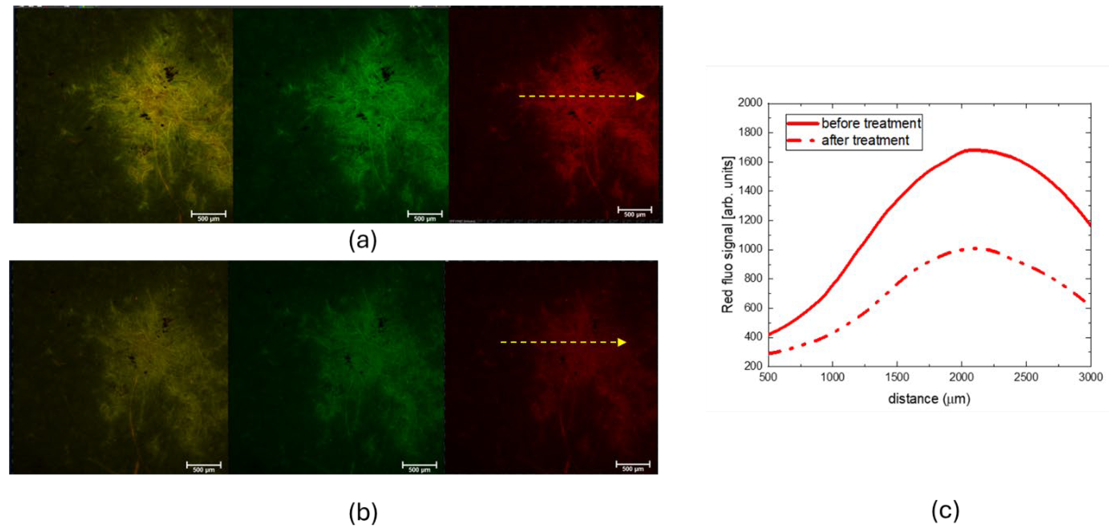 Preprints 141201 g004