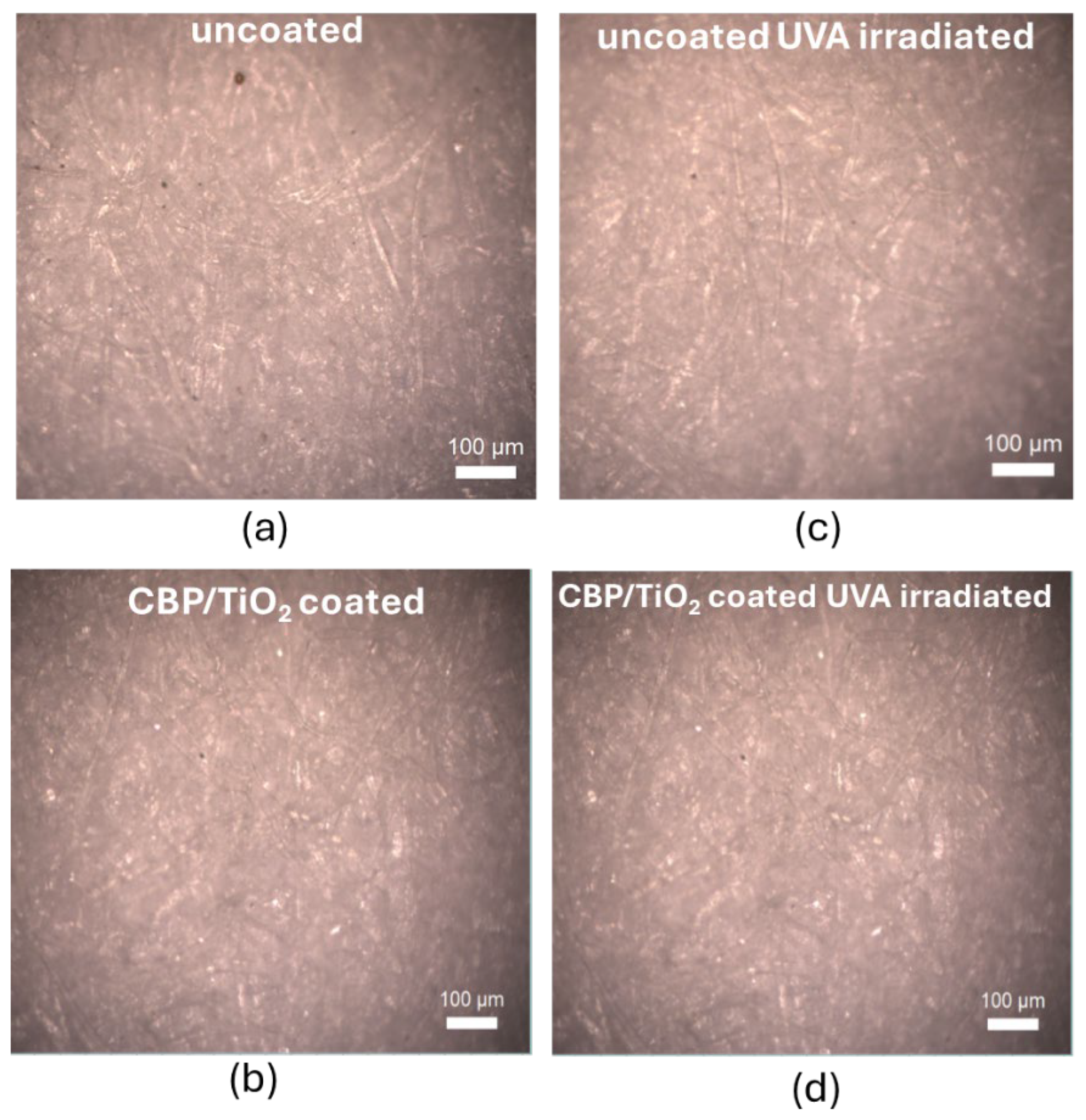 Preprints 141201 g006