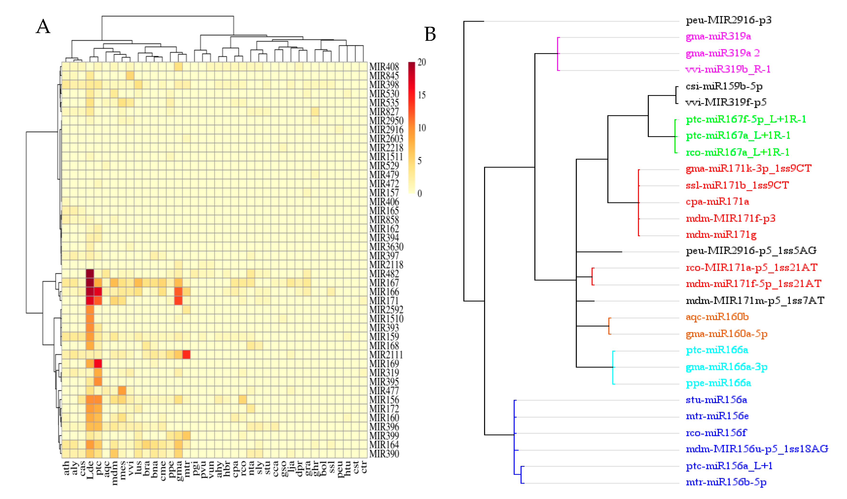 Preprints 110206 g002