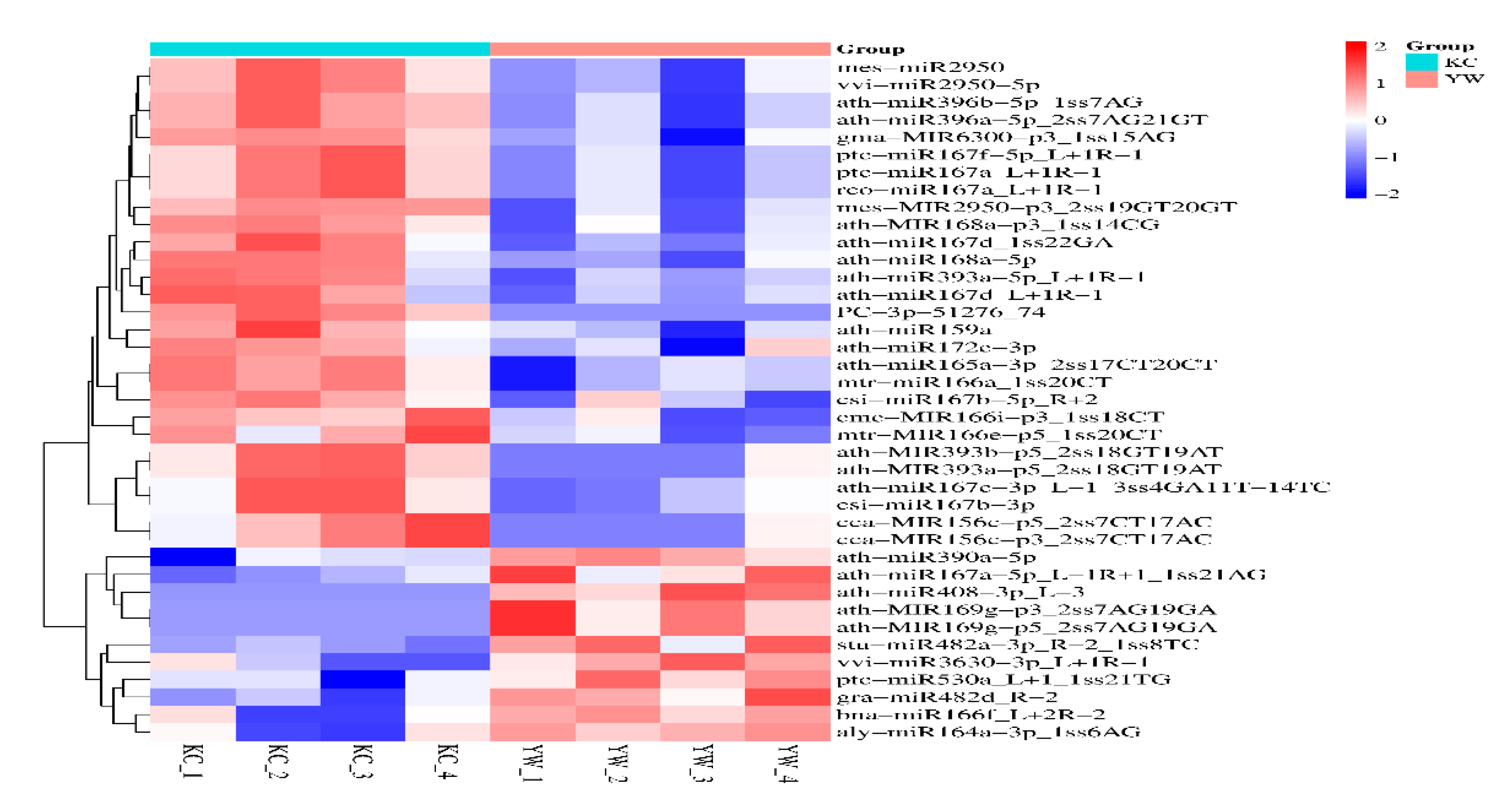 Preprints 110206 g005