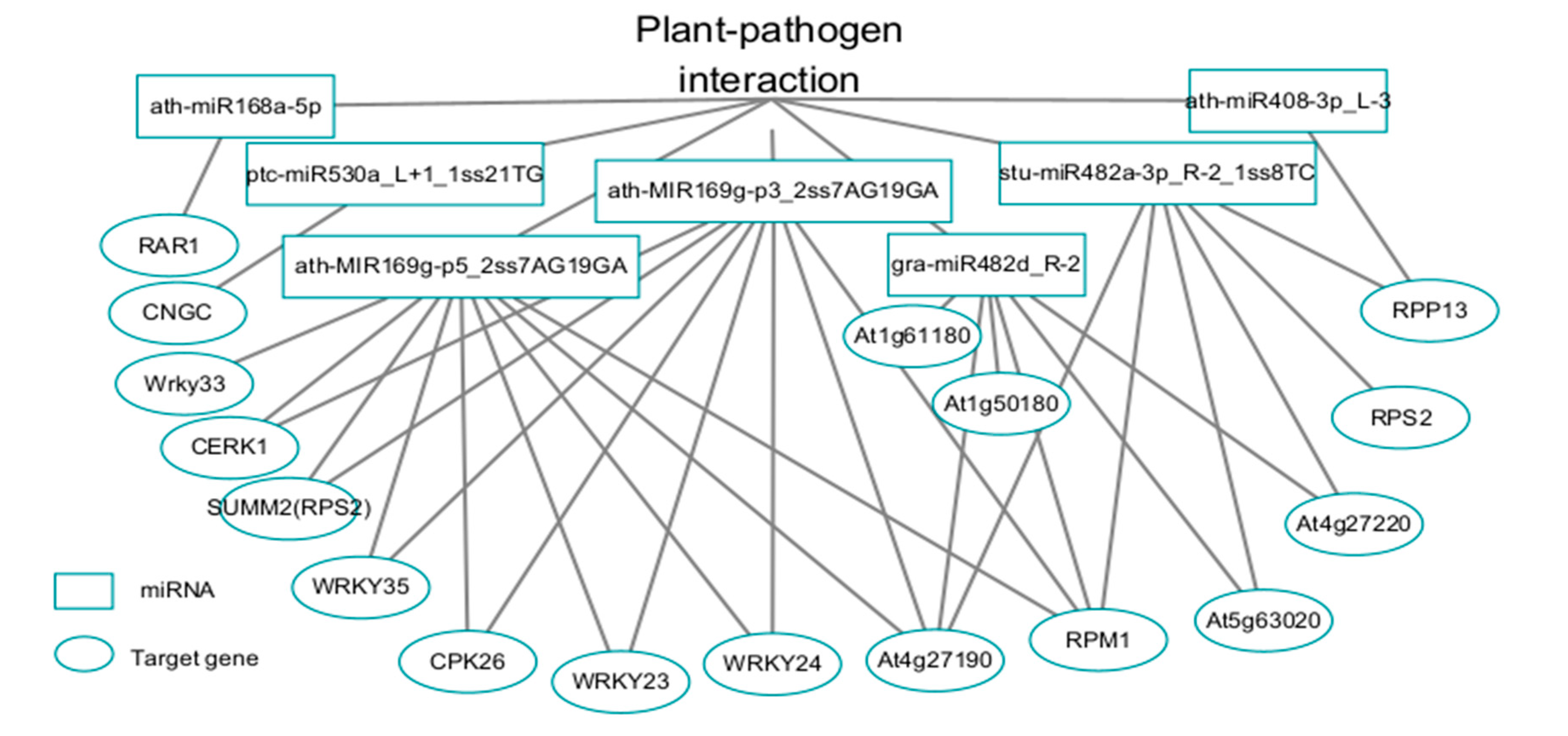 Preprints 110206 g008