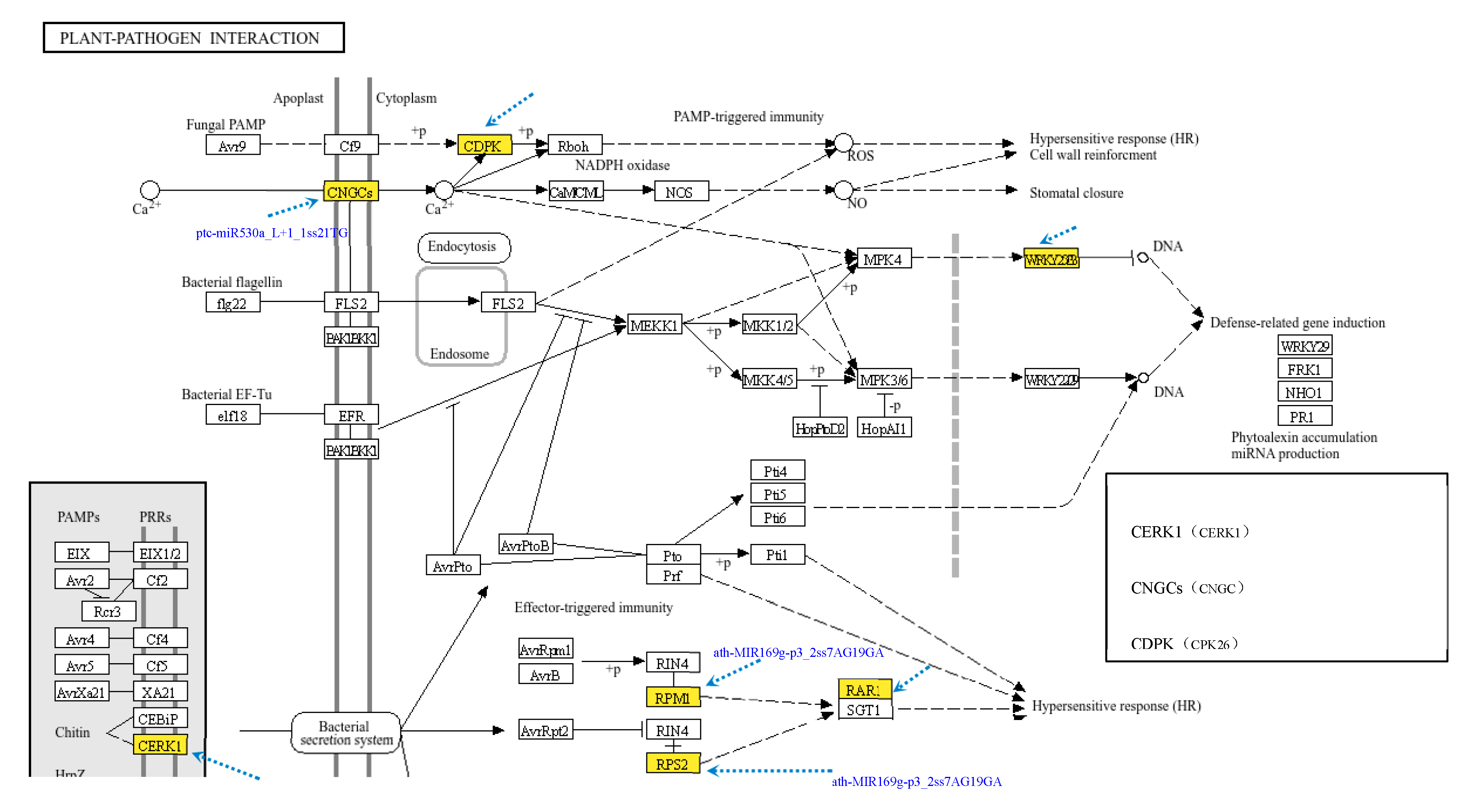 Preprints 110206 g009