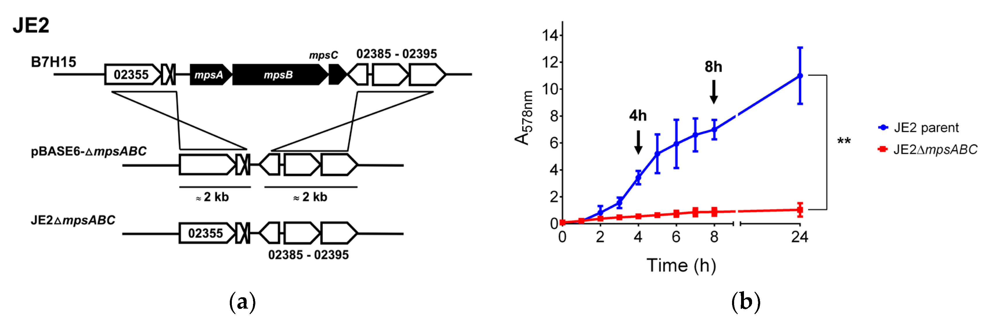 Preprints 113513 g001