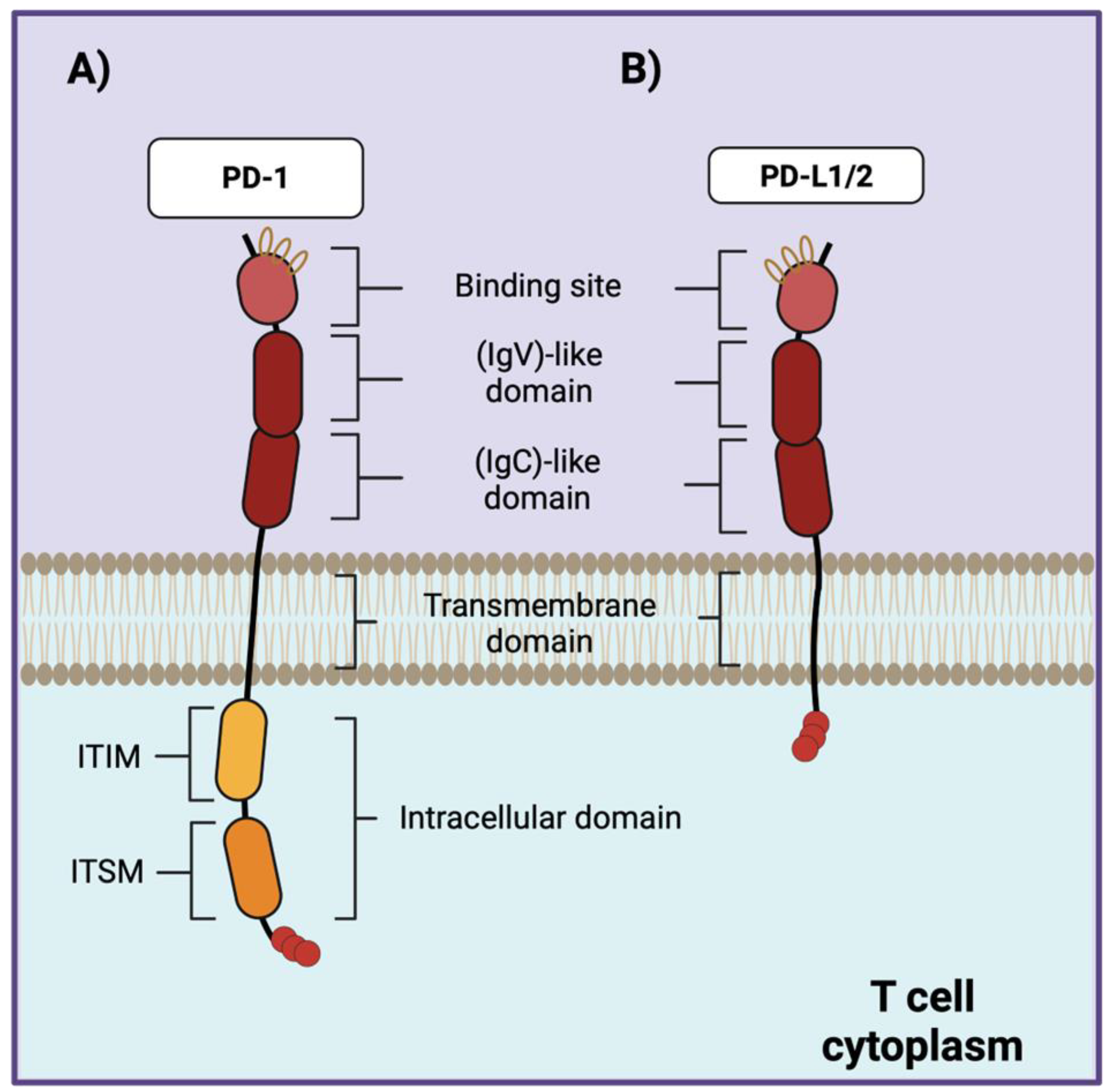 Preprints 109948 g001