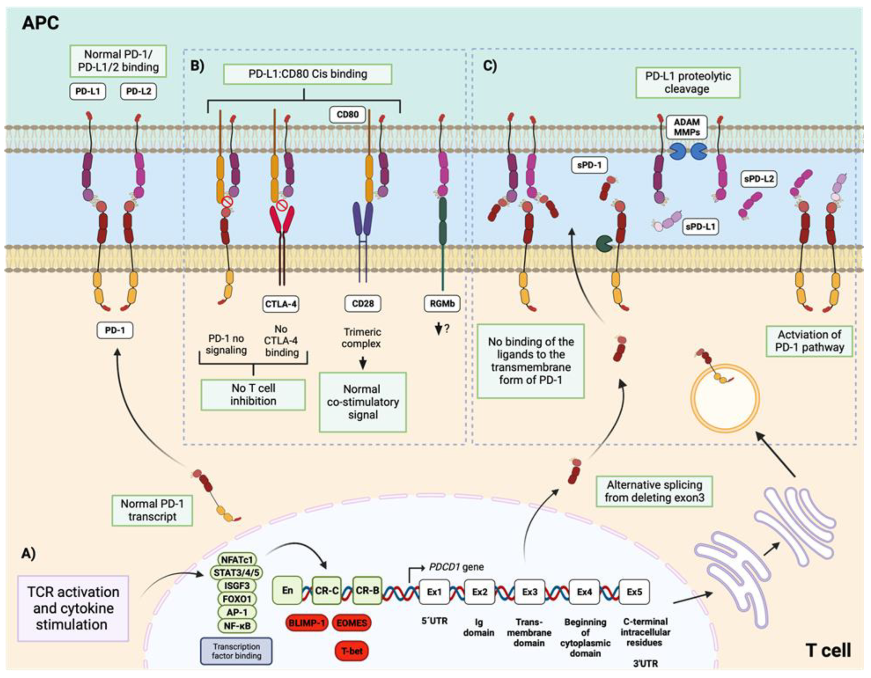 Preprints 109948 g003