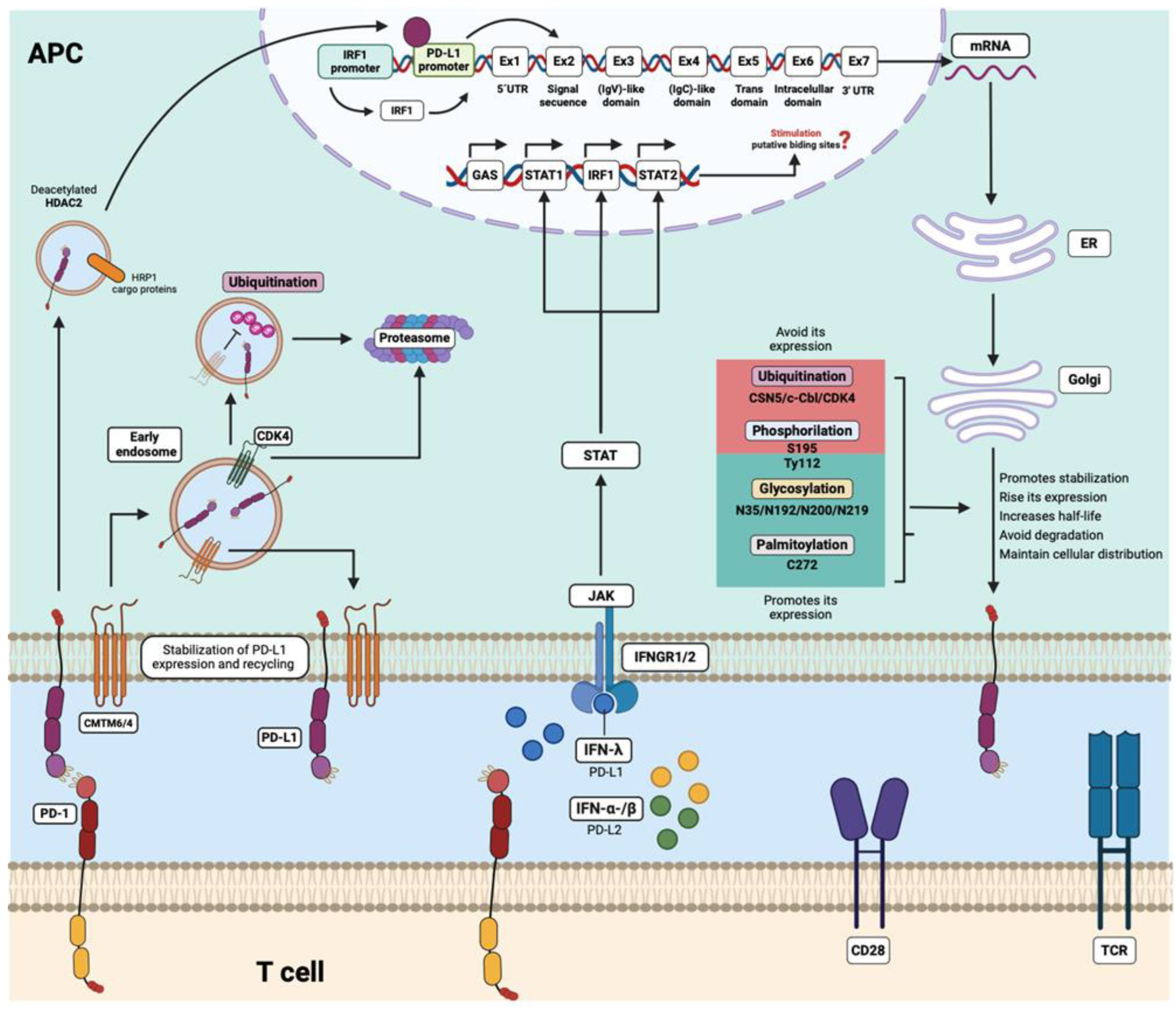 Preprints 109948 g004