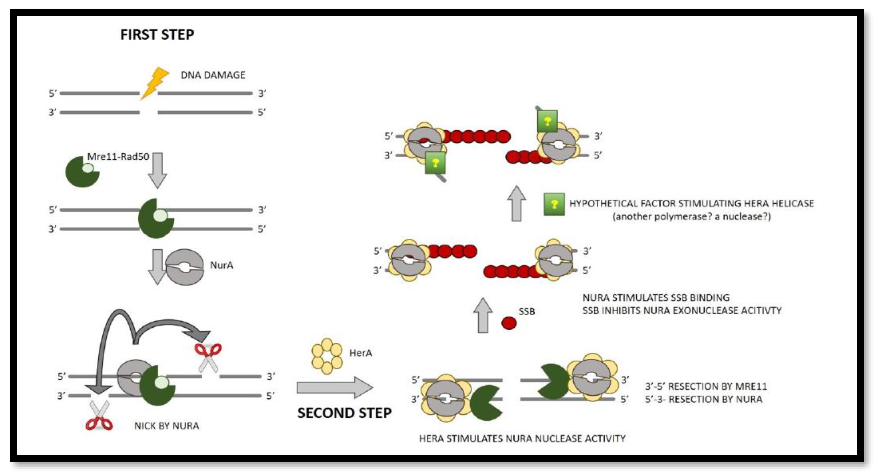 Preprints 97857 g002