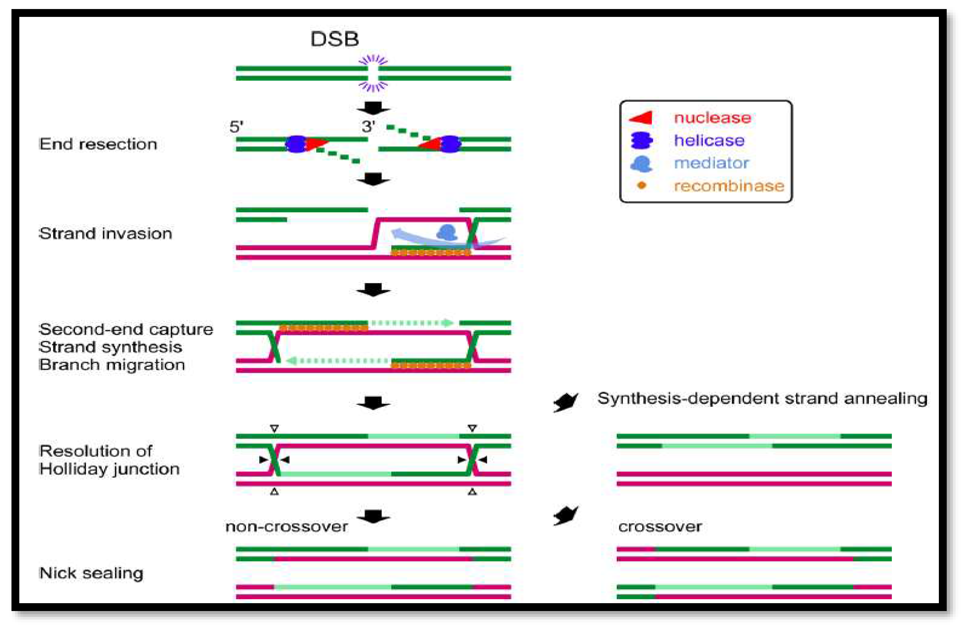 Preprints 97857 g003