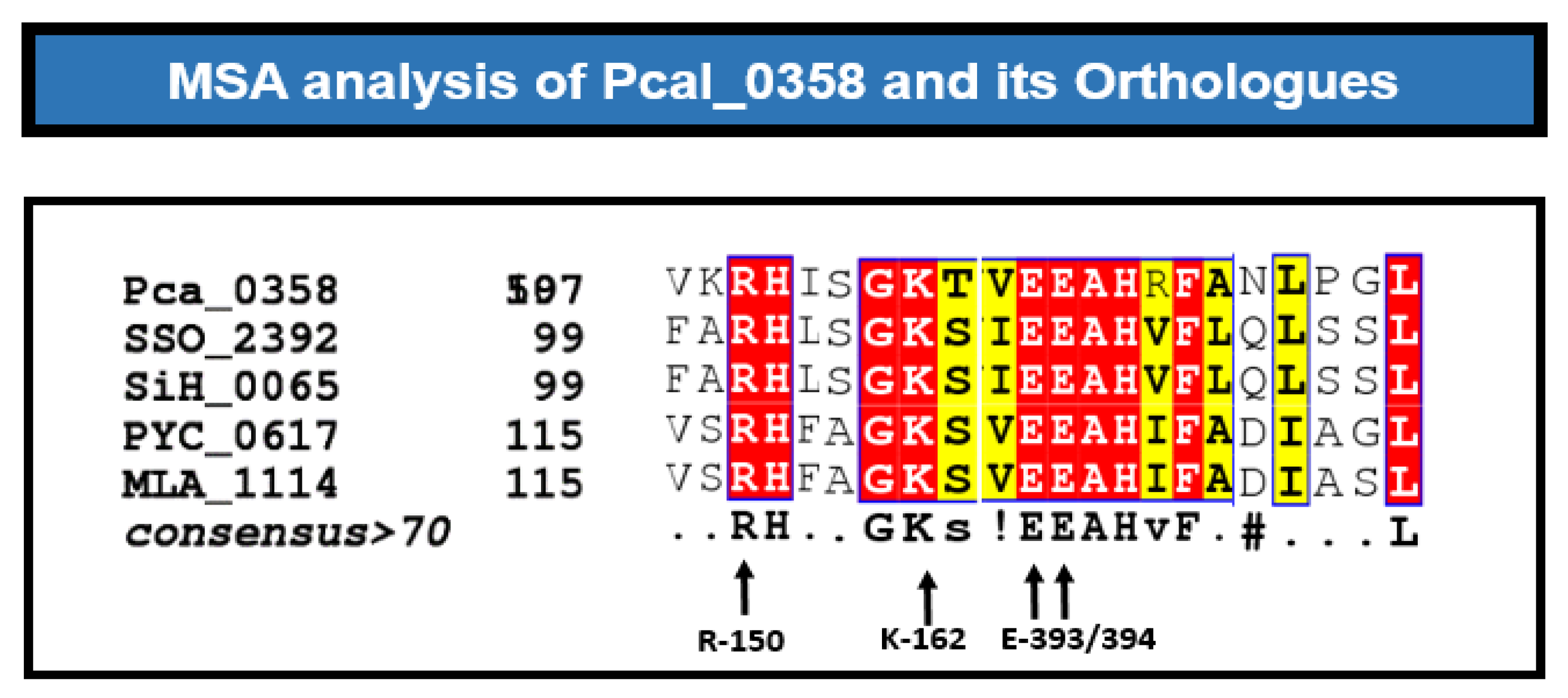 Preprints 97857 g004