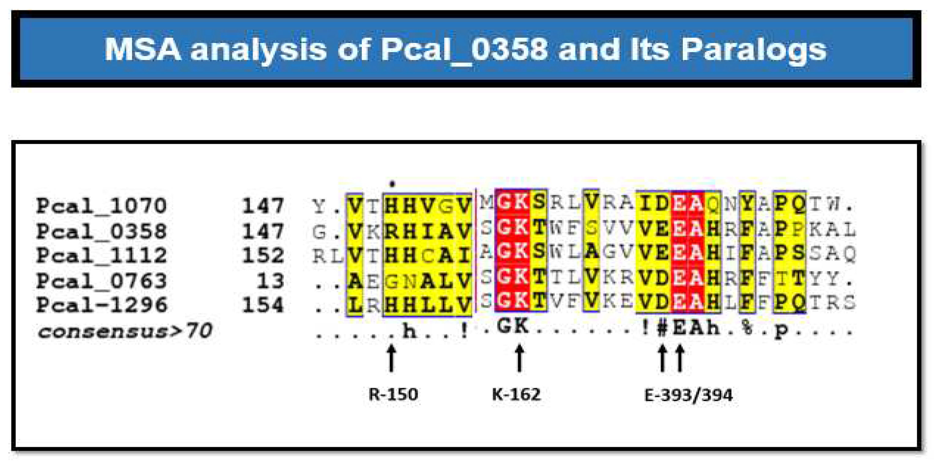 Preprints 97857 g005