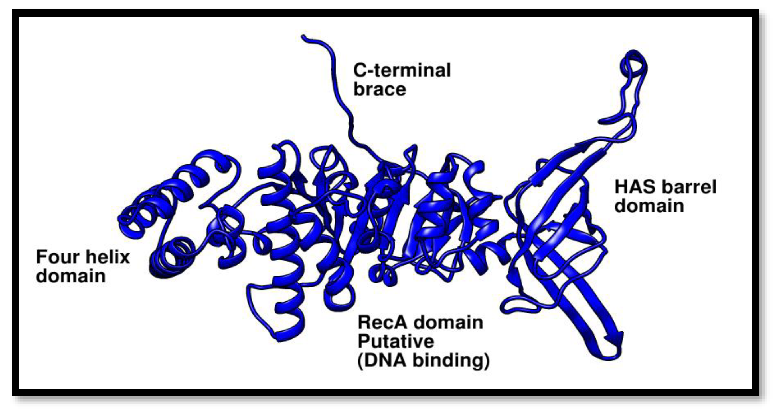 Preprints 97857 g007