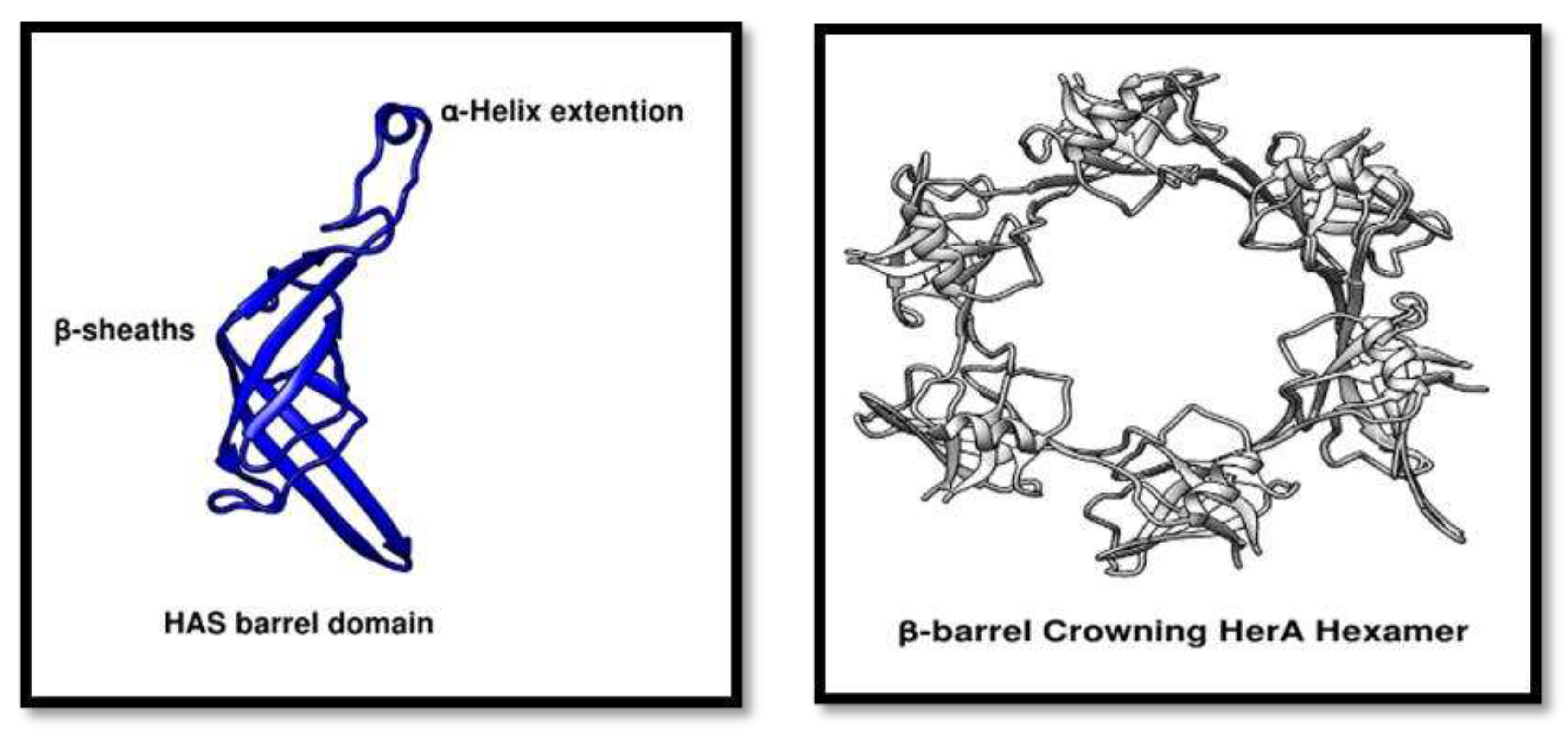 Preprints 97857 g008