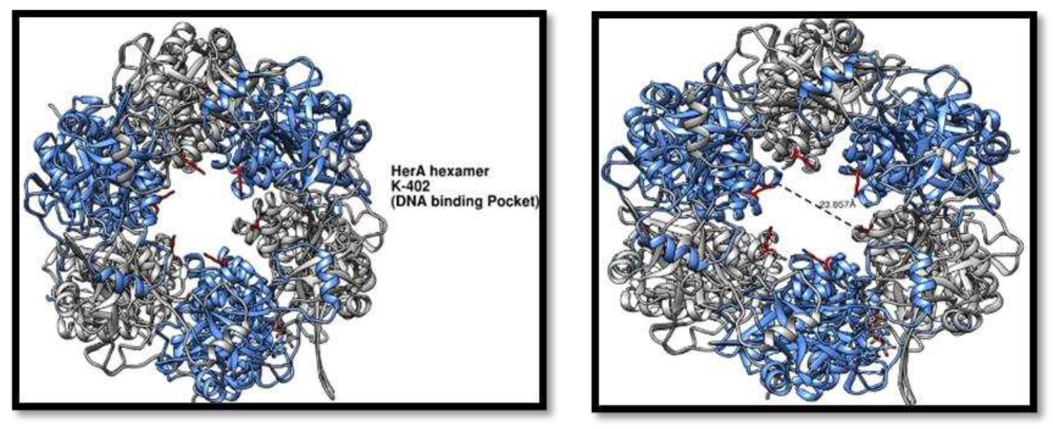 Preprints 97857 g009