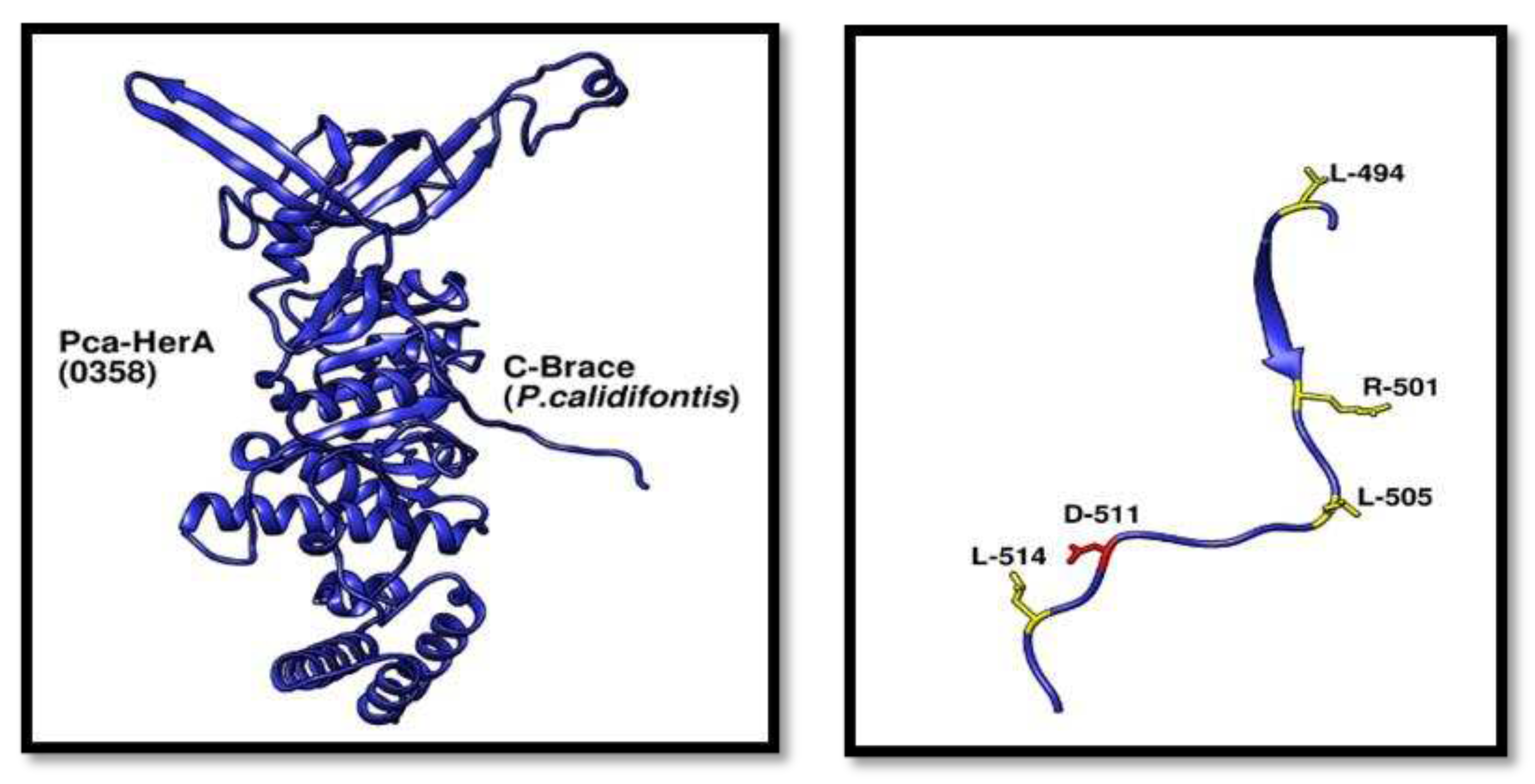 Preprints 97857 g010