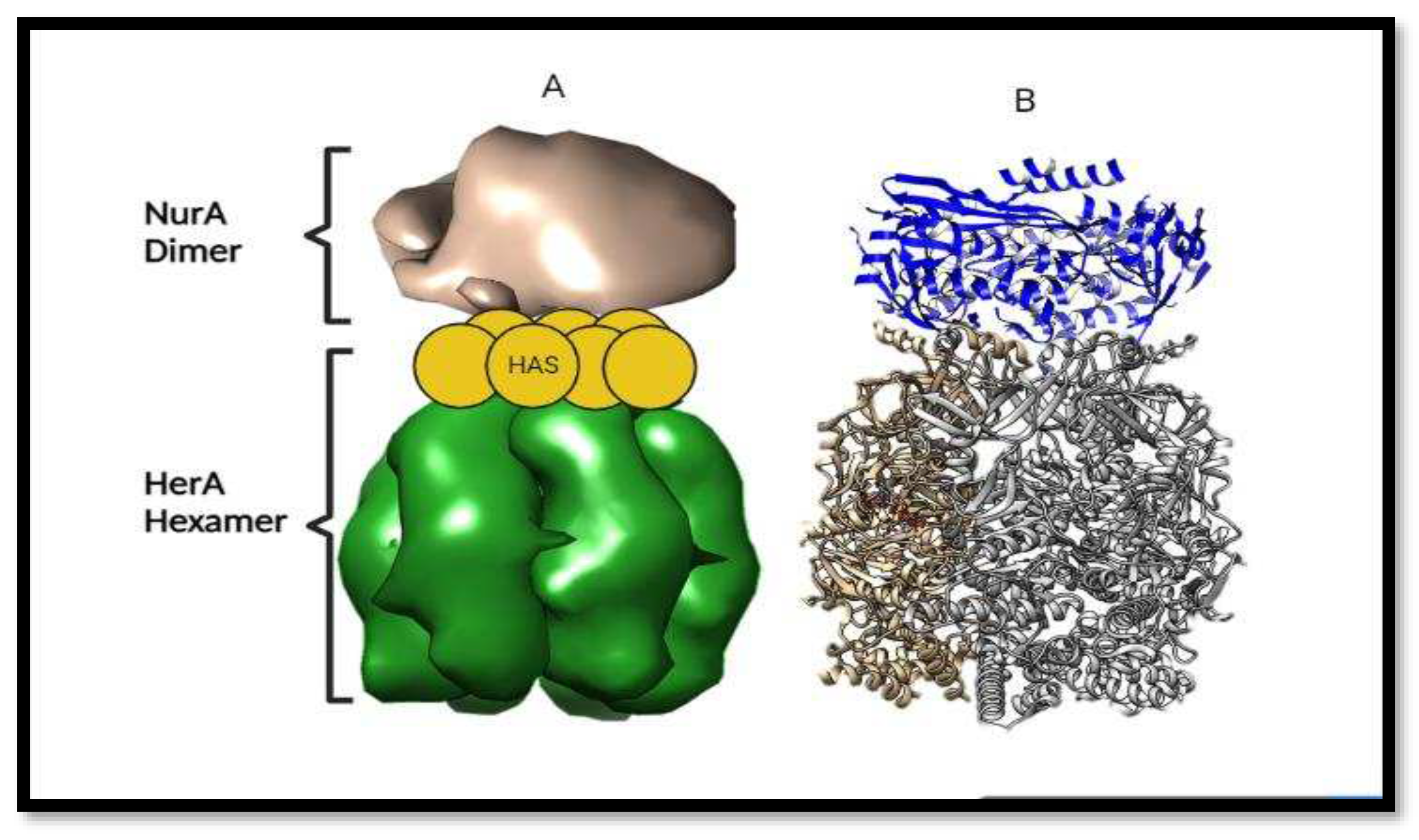 Preprints 97857 g013